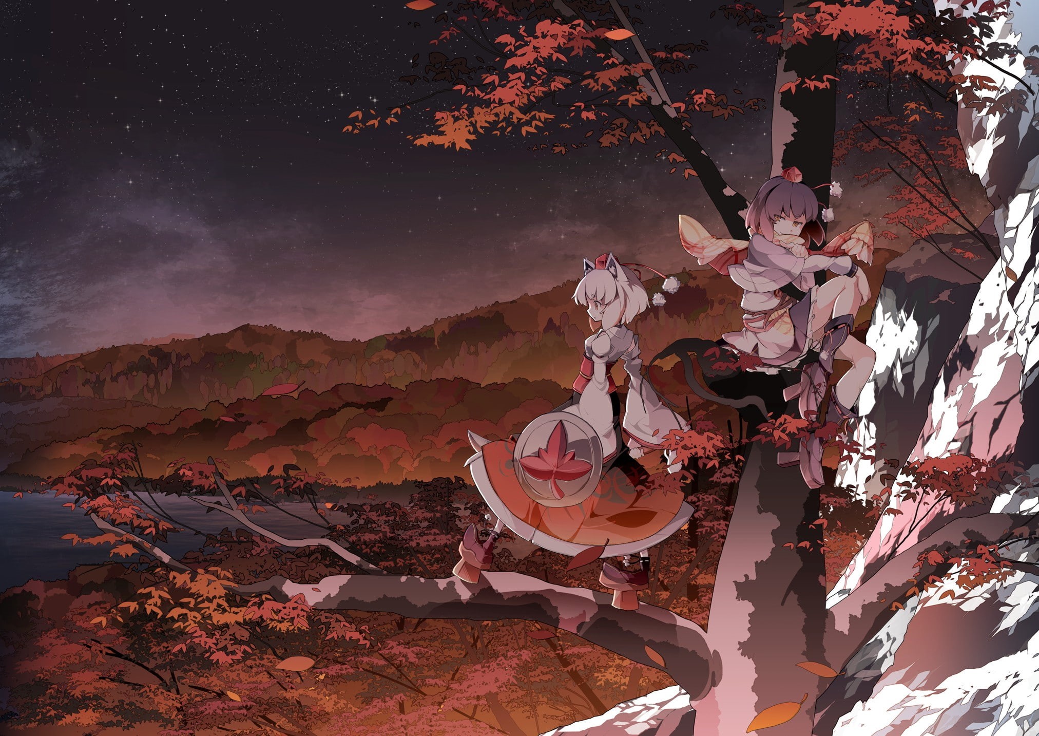 anime girls, beauty in nature, high angle view, plant, vulnerability, growth, branch, Touhou, scenics - nature, 1080P, flower, no people, fragility, outdoors, HD Wallpaper