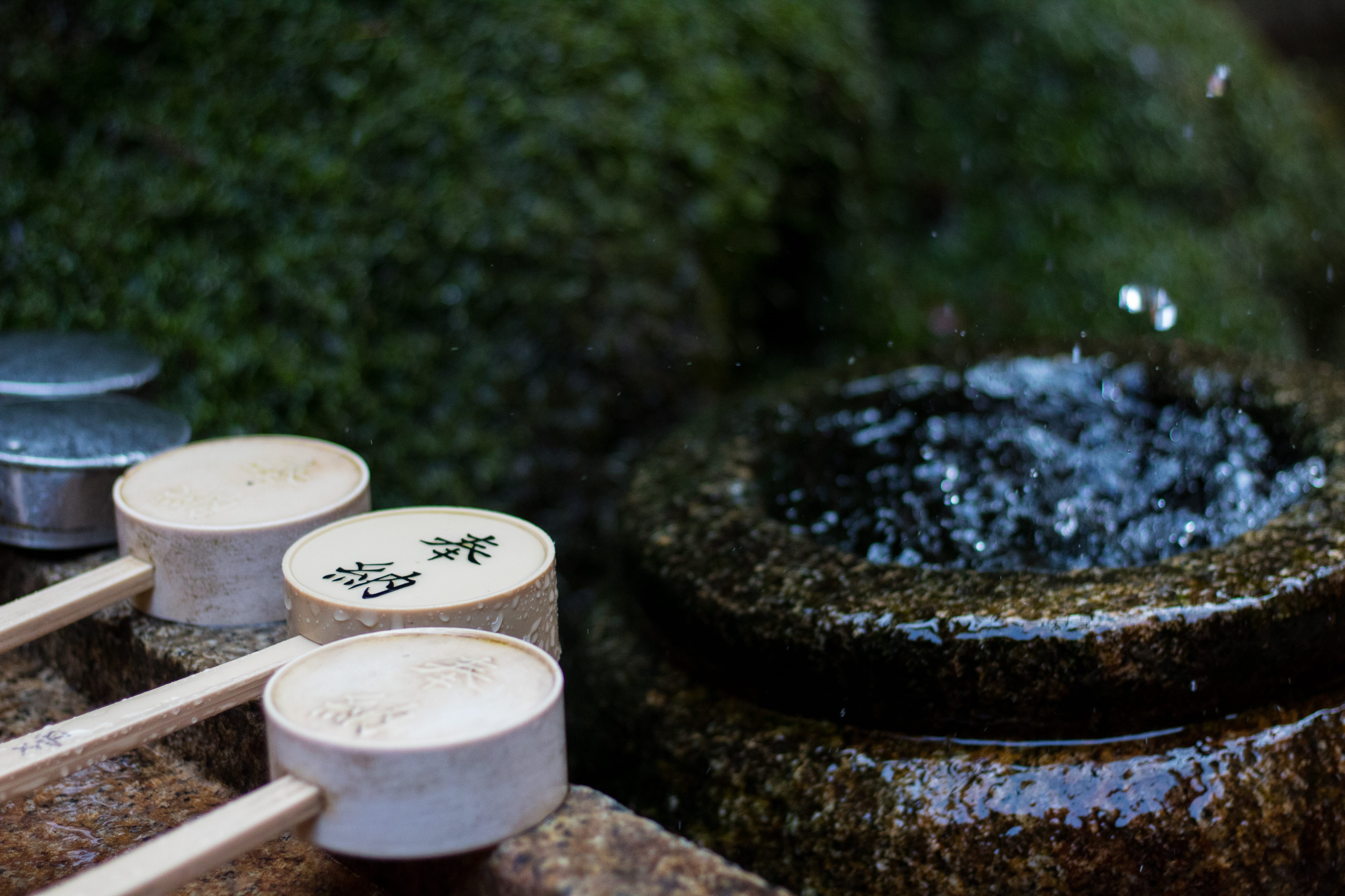 fushimi inari taisha, plant, temple, shrine, kitchen utensil, drinking fountain, ladle, religion, outdoors, japanese garden, water, belief, kyōto-shi, forest, HD Wallpaper