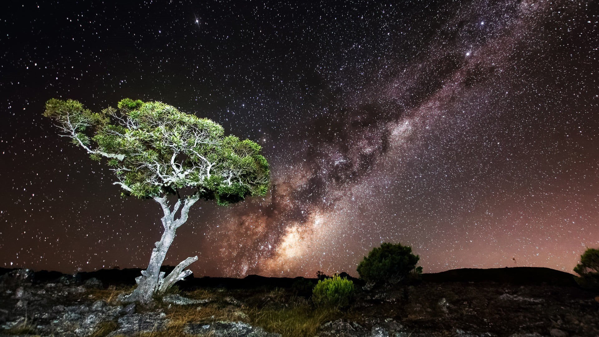 tree, hills, landscape, tranquility, low angle view, beauty in nature, sky, stars, long exposure, 1080P, no people, tranquil scene, scenics - nature, space and astronomy, HD Wallpaper