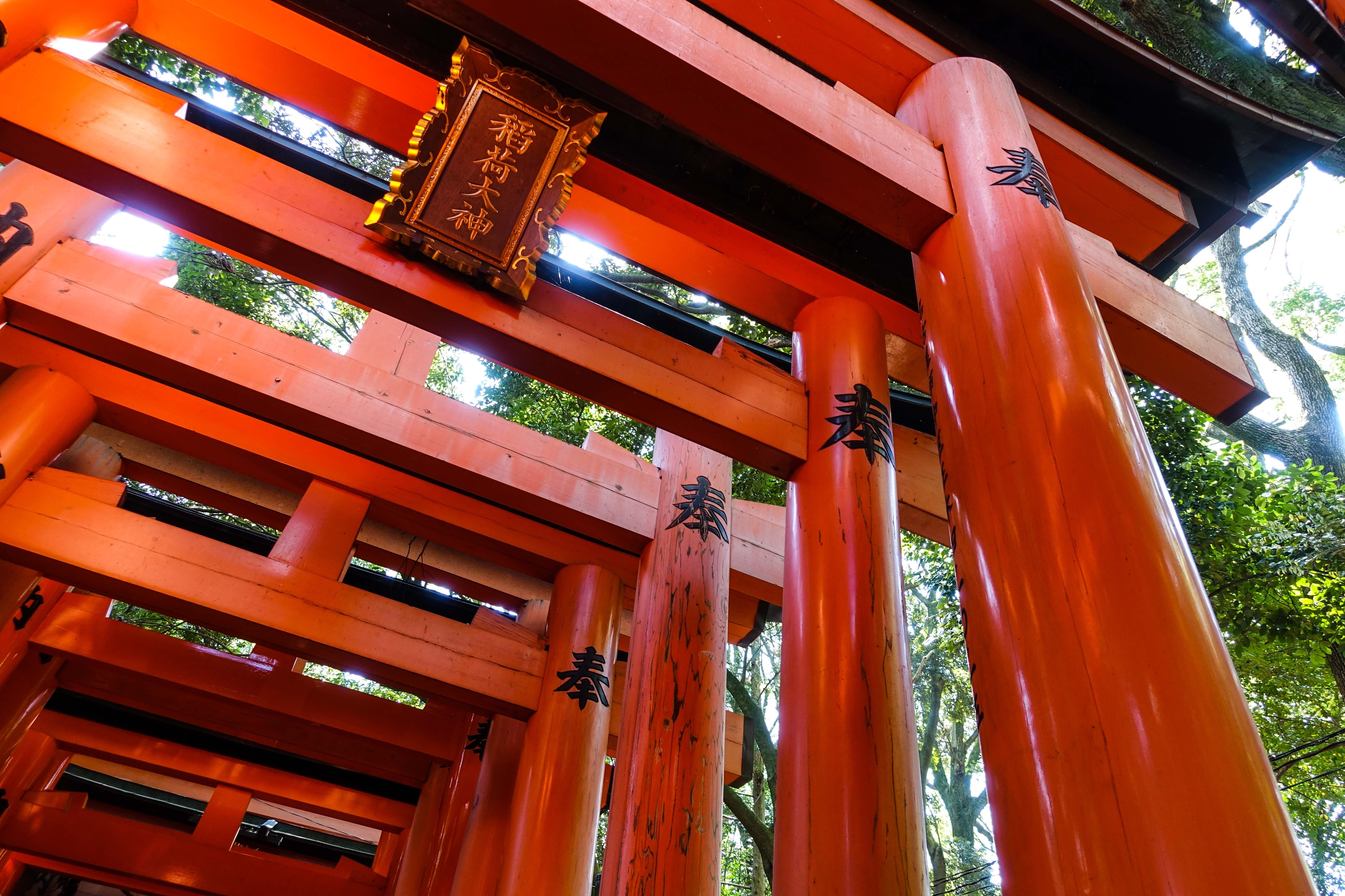 wood - material, day, architectural column, outdoors, spirituality, fushimi inari-taisha, orange color, architecture, 5K, roof beam, lighting equipment, HD Wallpaper
