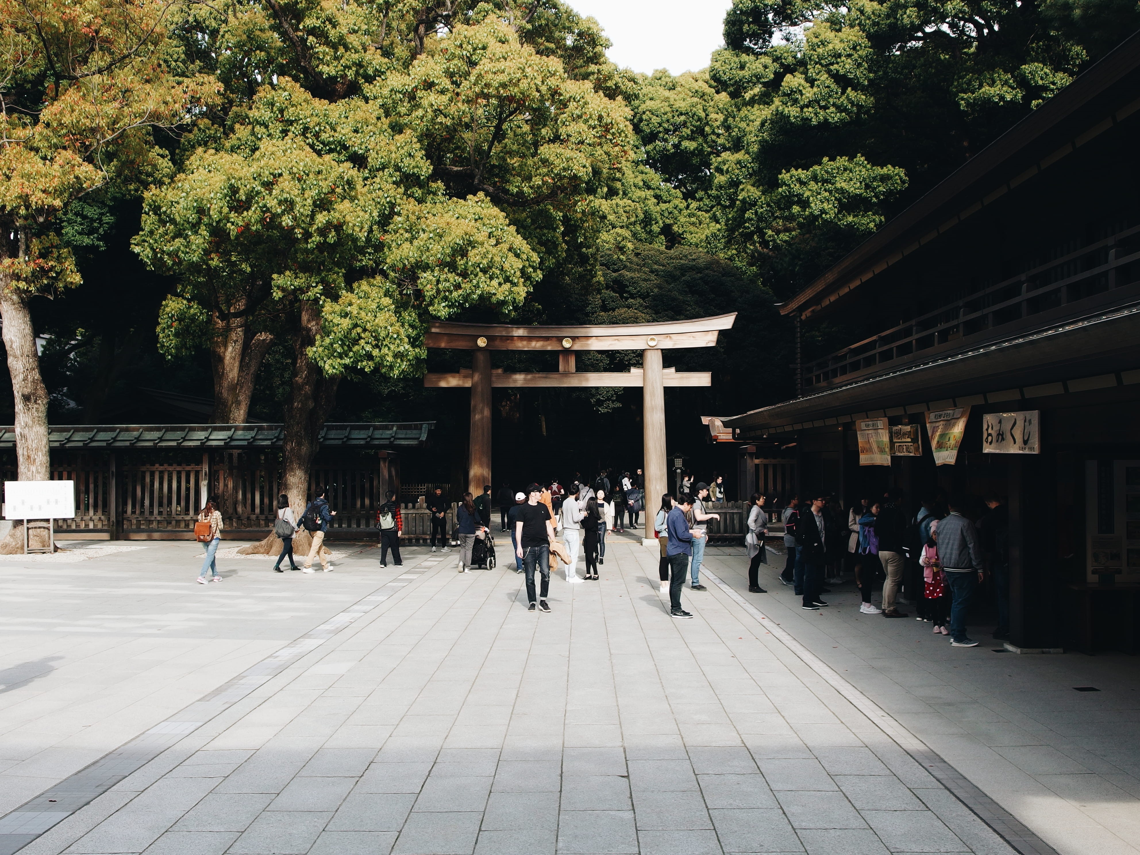 building, human, lifestyles, nature, plant, 4K, torii, road, person, city, apparel, real people, temple, men, town, column, women, architecture, large group of people, HD Wallpaper