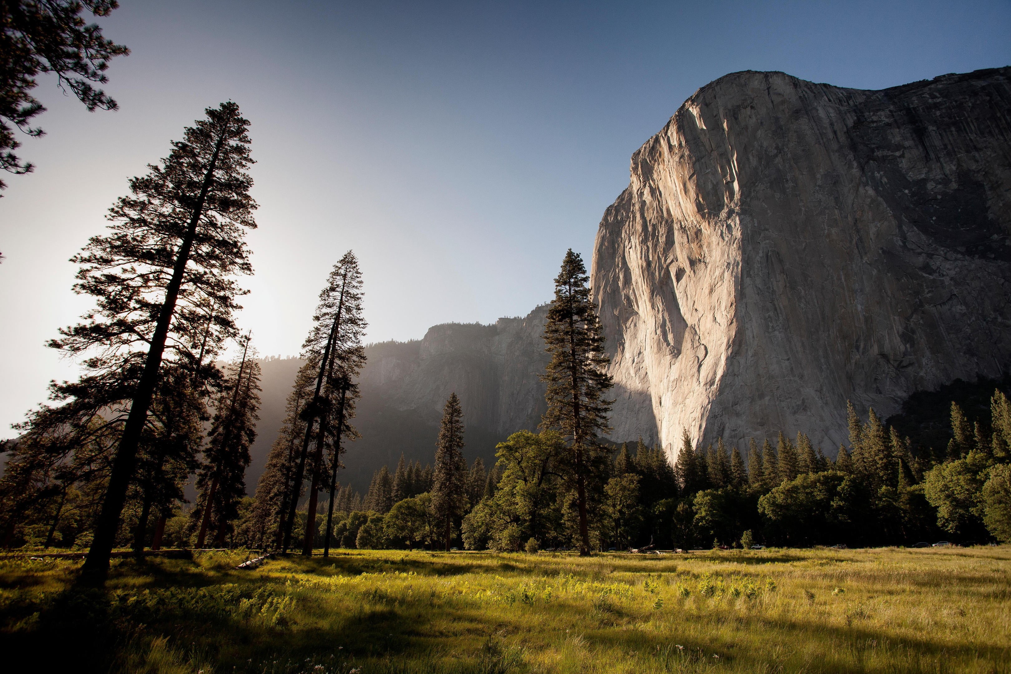 green, tranquil scene, tranquility, environment, El Capitan, pine, idyllic, mountains, forest, tree, sunlight, trees, landscape, plant, beauty in nature, HD Wallpaper