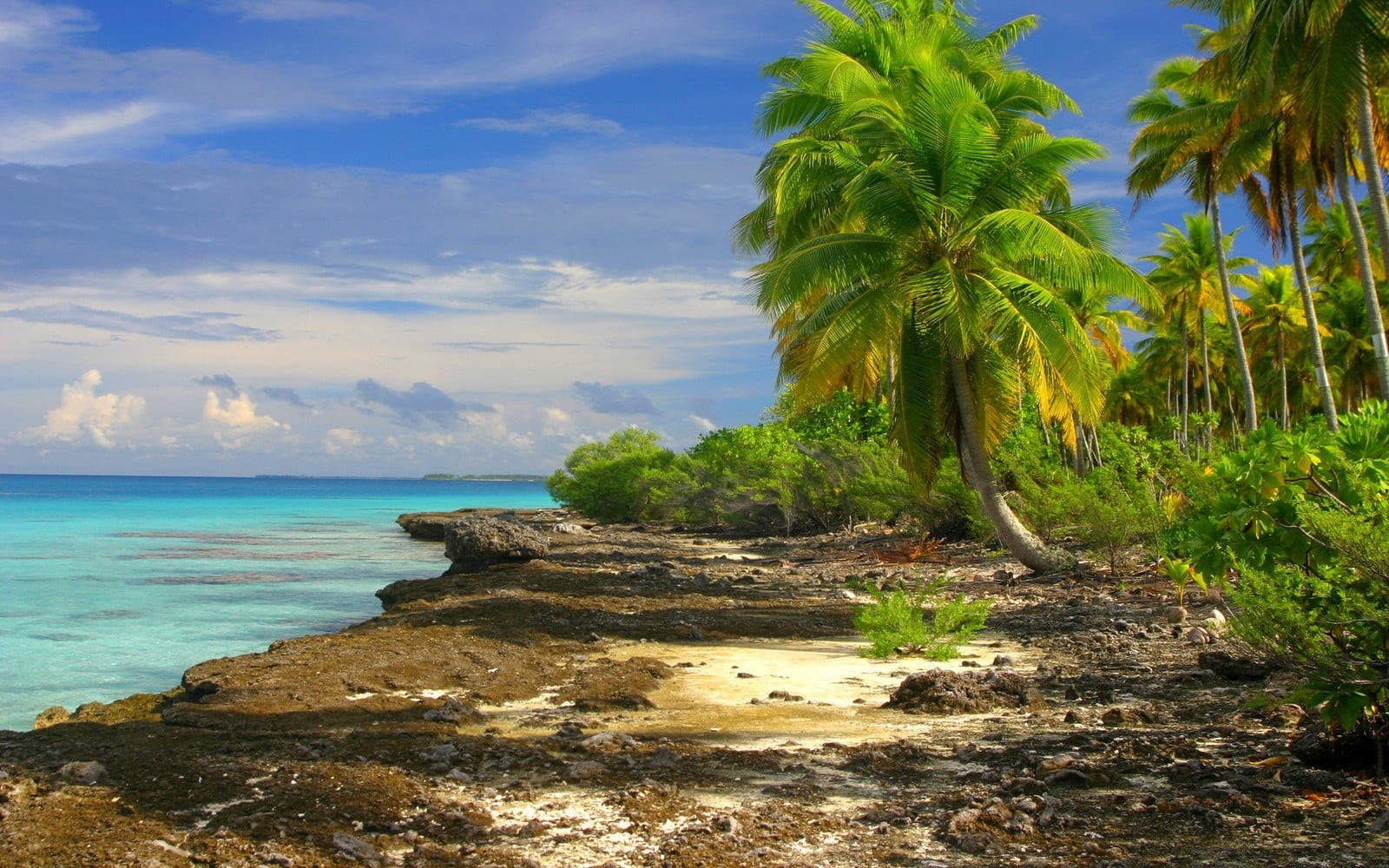 clouds, coconut palm tree, palm tree, scenics - nature, tropical climate, tranquility, cloud - sky, shrubs, sea, island, green, water, plant, tropical, HD Wallpaper
