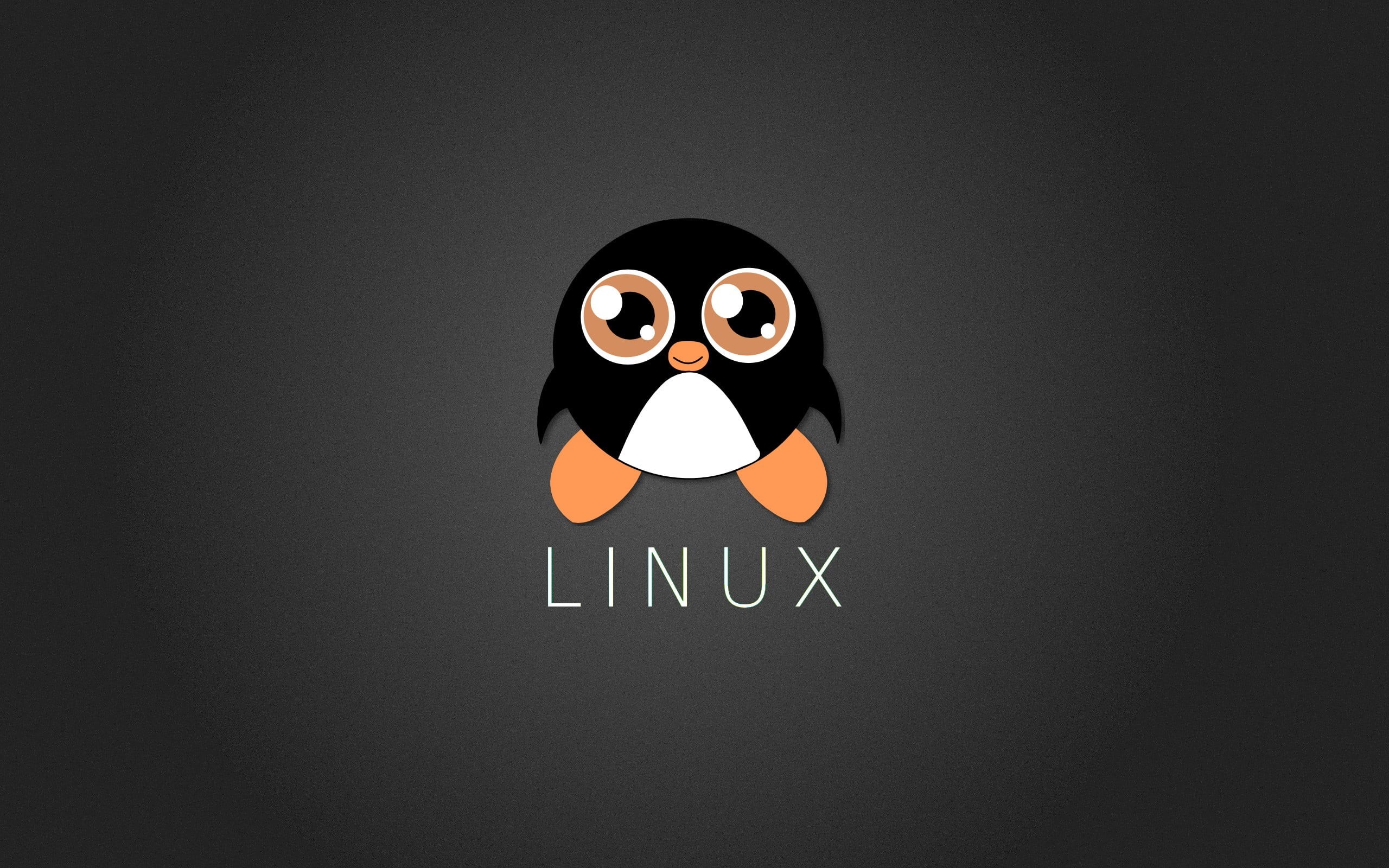 representation, close-up, copy space, studio shot, face, Penguin, circle, human representation, western script, communication, Tux, logo, anthropomorphic face, HD Wallpaper