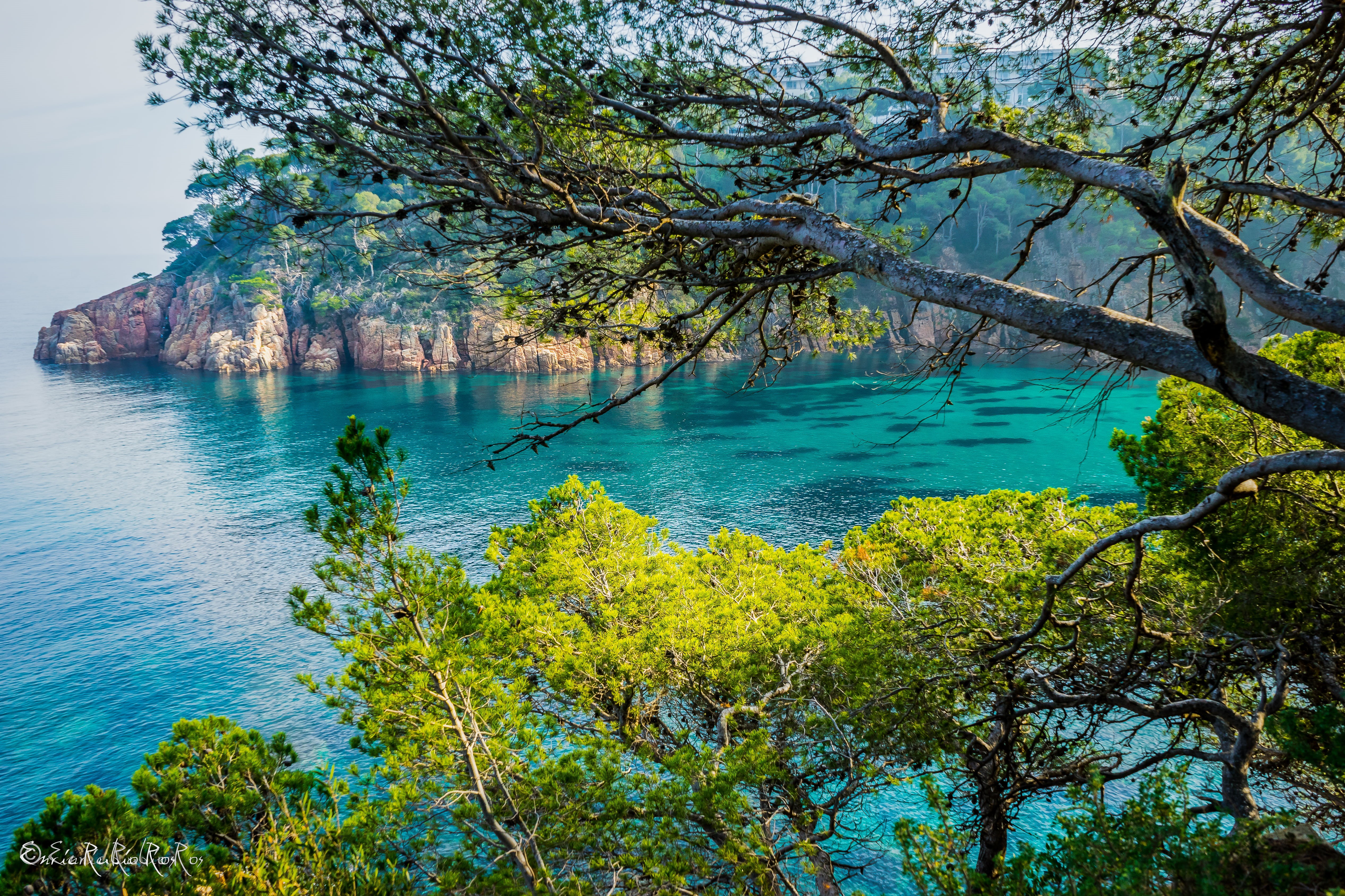 4K, landscape, tree, sea, summer, costa  brava, island, water, scenics, mountain, beach, near, sony, body, Costa Brava, coastline, cala, nature, cliff, HD Wallpaper