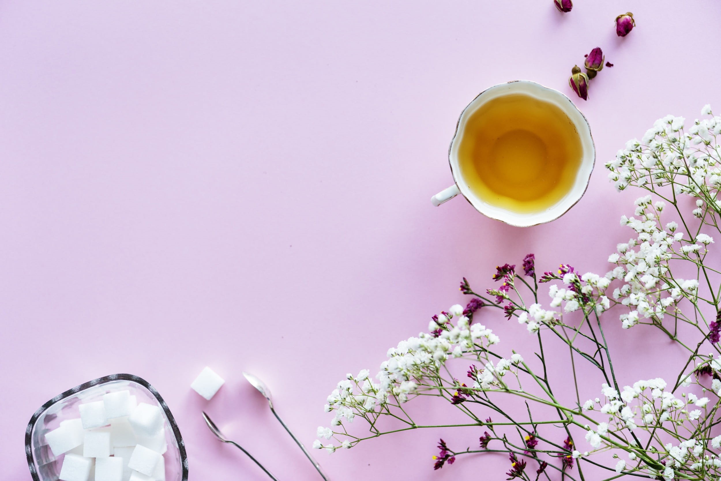 freshness, studio shot, pastel, indoors, refreshing, sweetening, daily, flatlay, flower, vulnerability, fragility, sweet, cup, brew, food and drink, HD Wallpaper