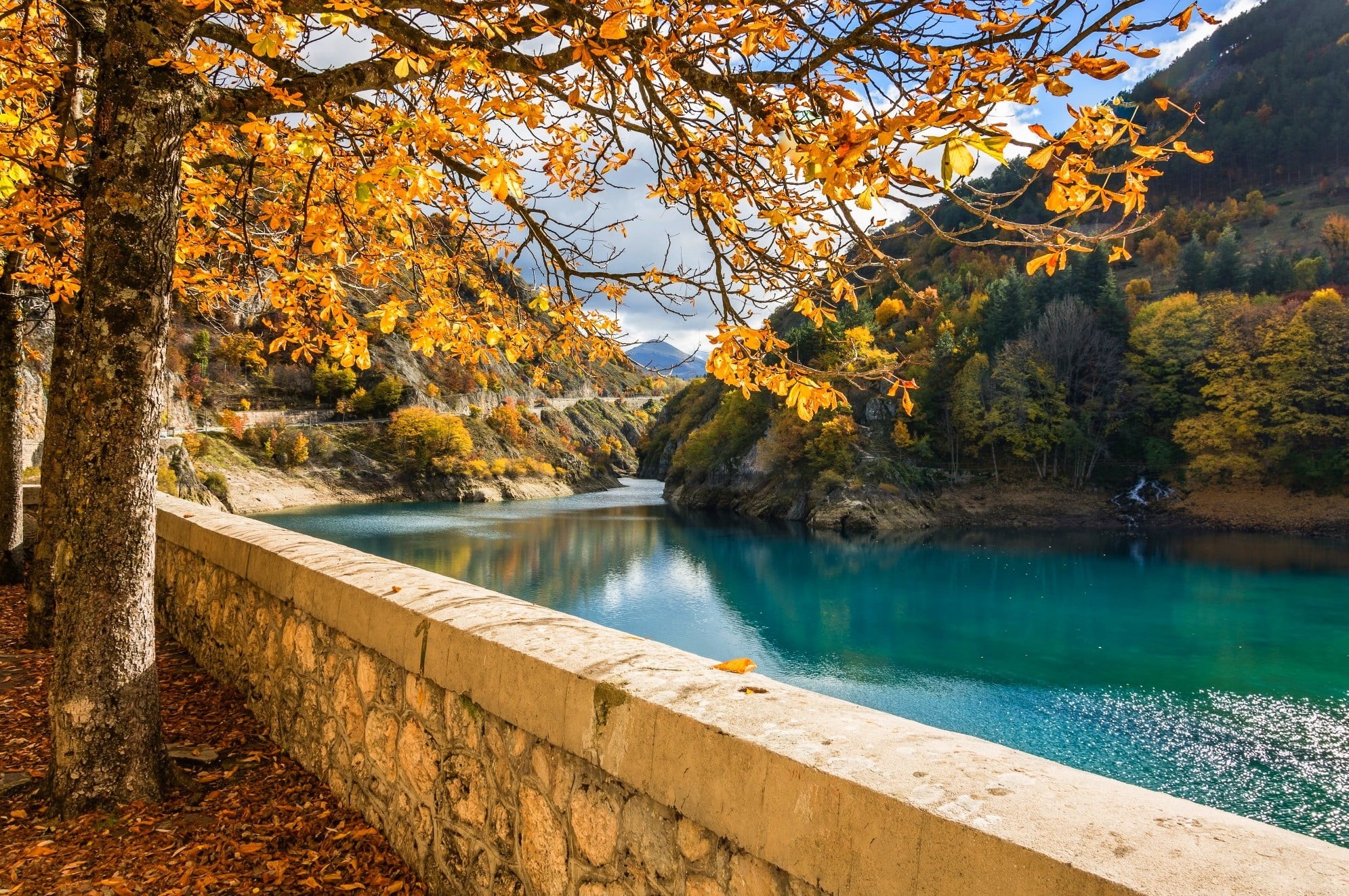fall, landscape, vibrant Color, tranquility, mountain, tranquil Scene, outdoors, maple Tree, orange Color, no People, idyllic, gold Colored, travel, scenics, HD Wallpaper
