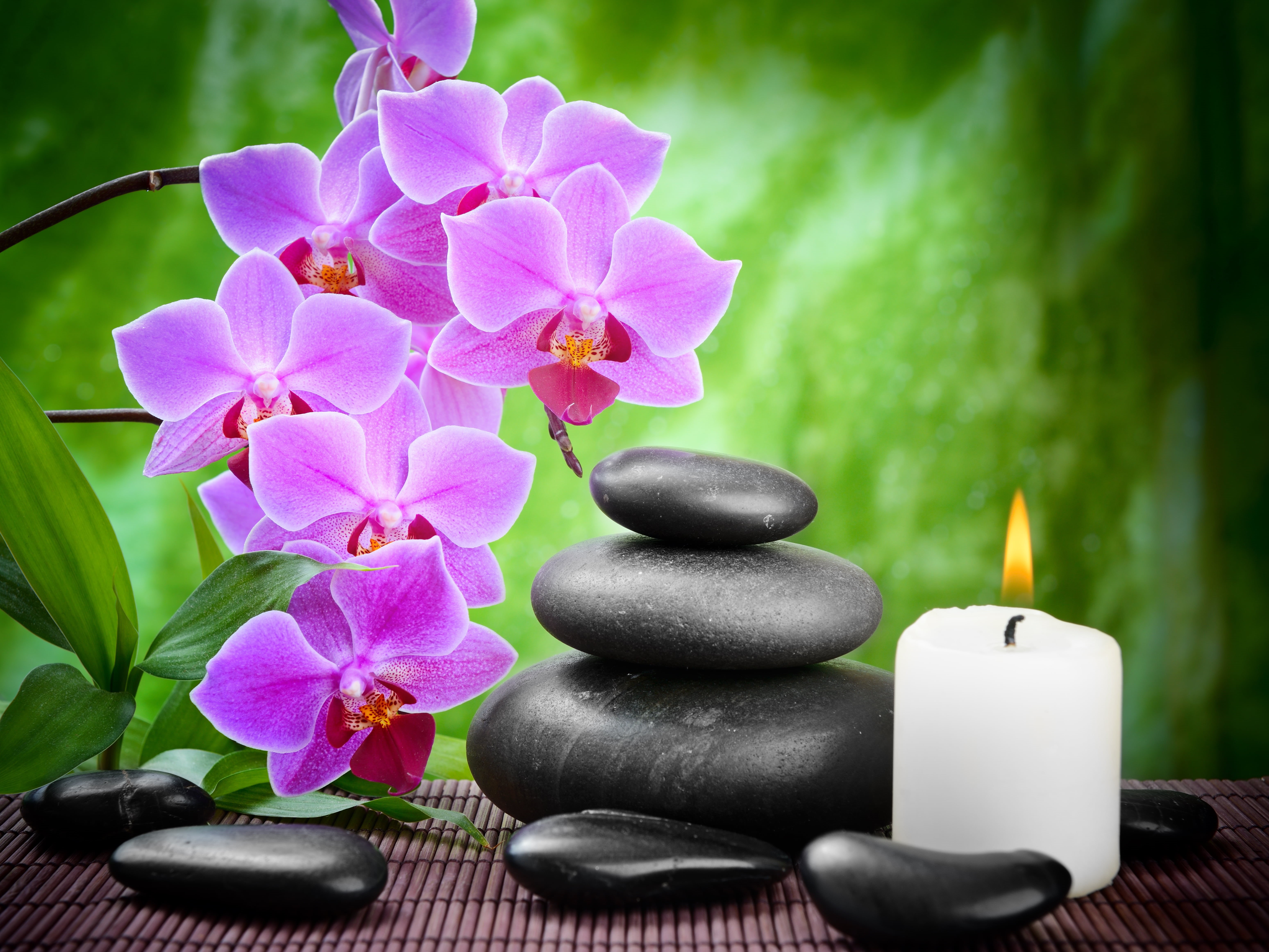 harmony, fire, scented, stability, body Care, beauty And Health, balance, Spa, rock - Object, plant part, health Spa, close-up, pebble, beauty, black, stones, HD Wallpaper