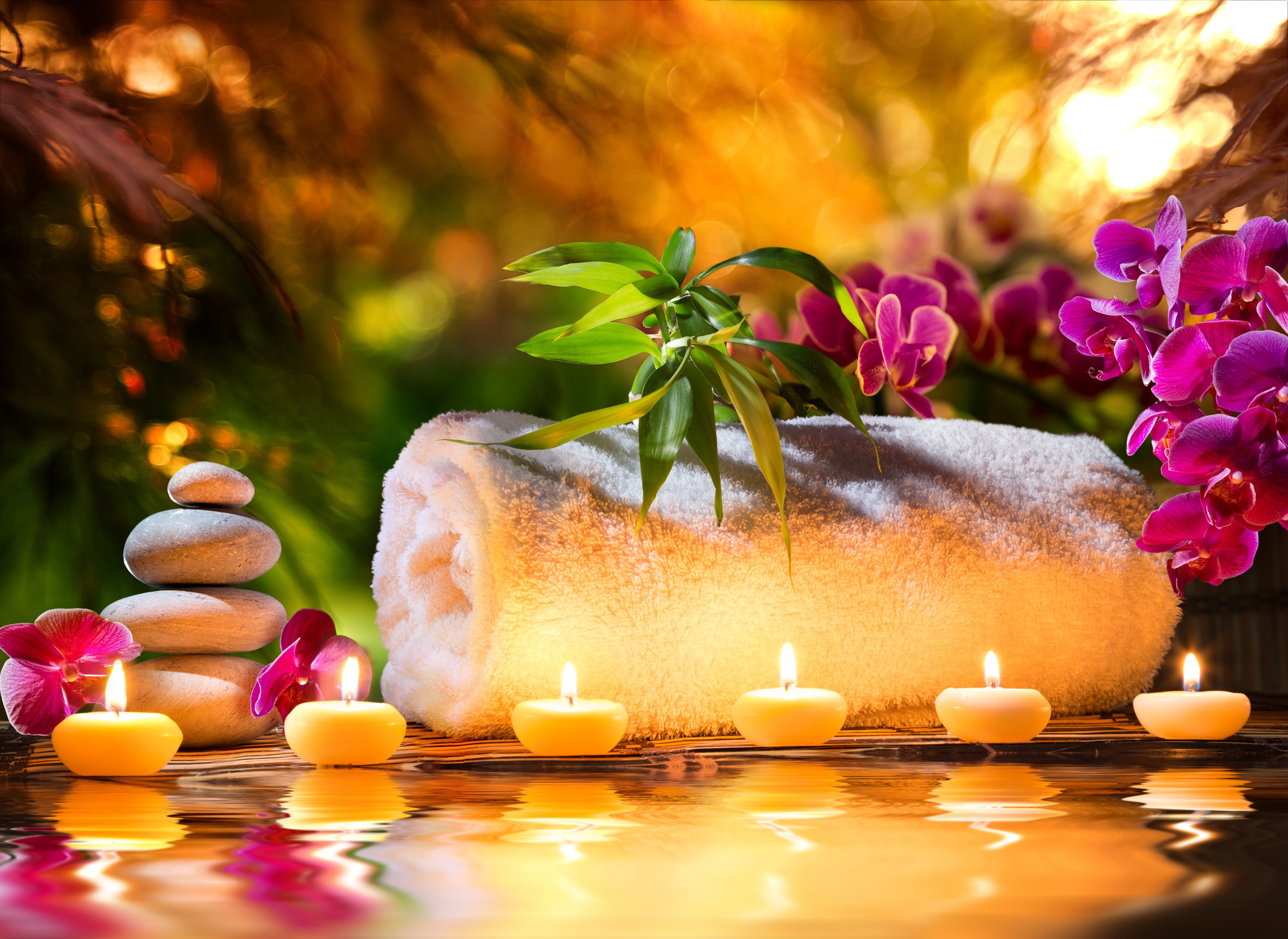 orchids, body Care, massaging, close-up, freshness, still Life, lifestyles, stone - Object, indoors, flowers, flower, stones, fire, plant, pebble, fire - natural phenomenon, HD Wallpaper