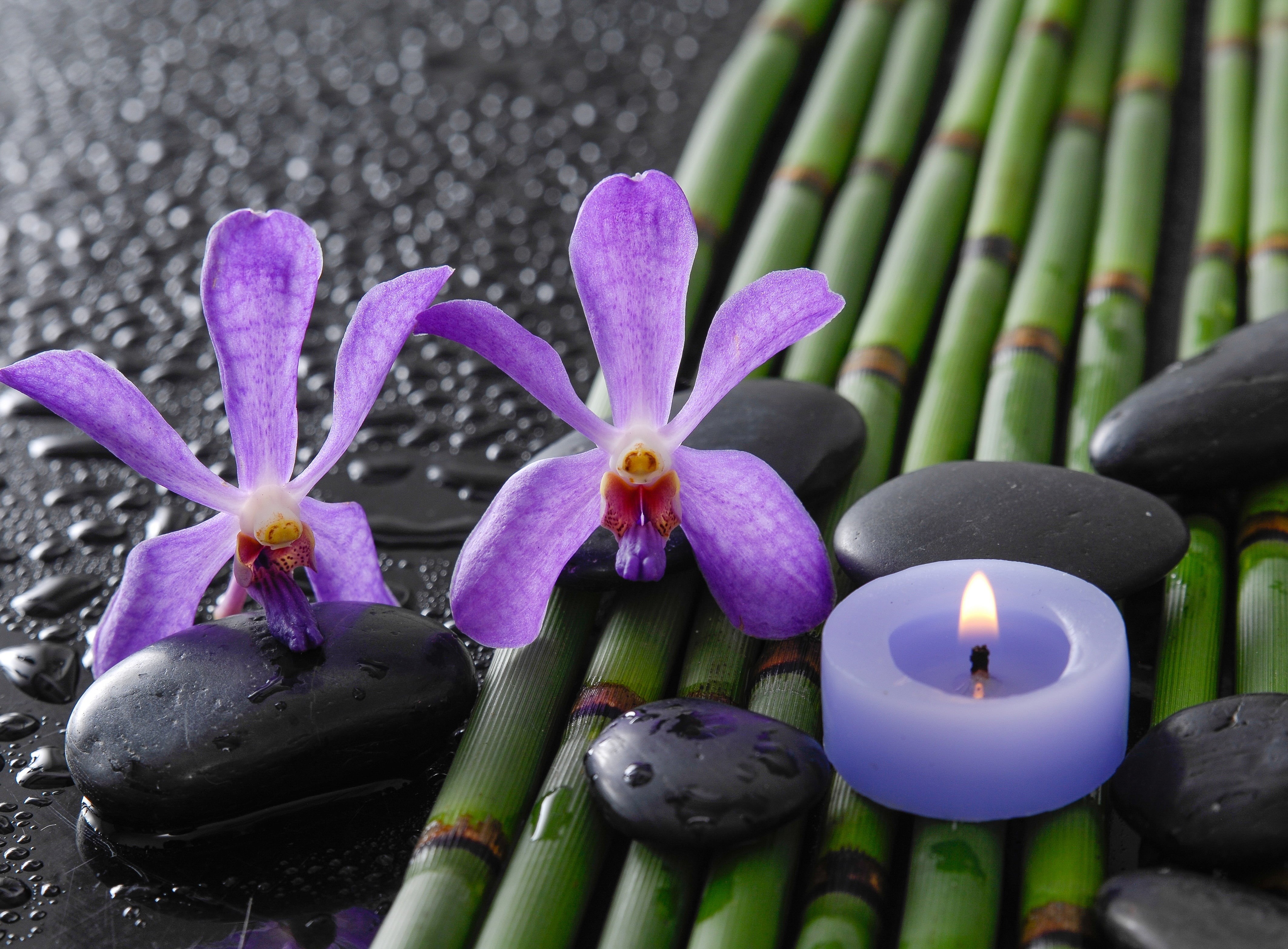 bamboo, tranquil Scene, flowers, beauty Treatment, fire - natural phenomenon, freshness, backgrounds, 4K, flame, alternative Therapy, beauty in nature, HD Wallpaper