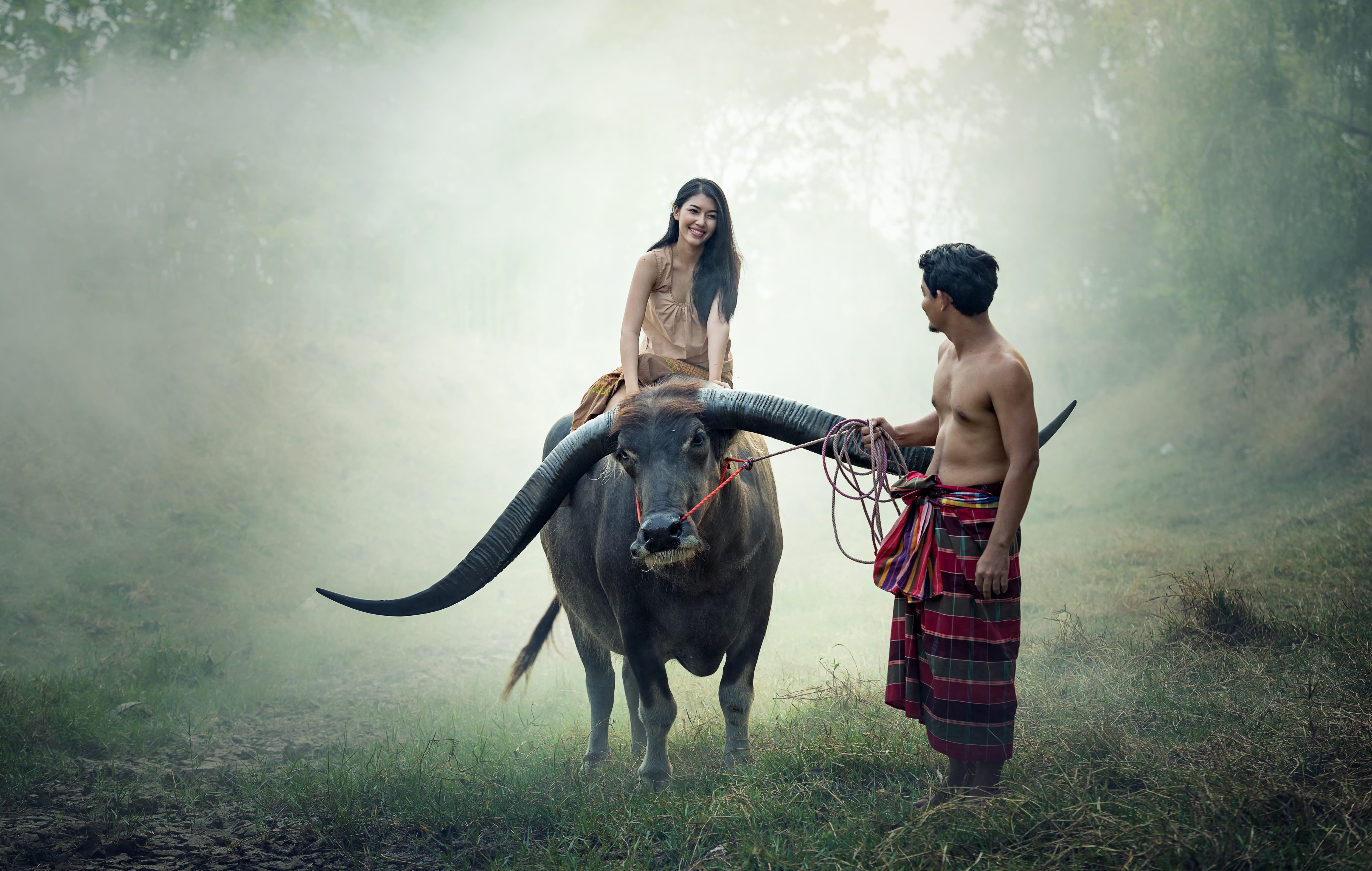 happy, happiness, park, rice, indonesian, pathetic, herbivorous, standing, girl, myanmar burma, riding, animals, laos, at leisure, women, full length, rural scene, HD Wallpaper