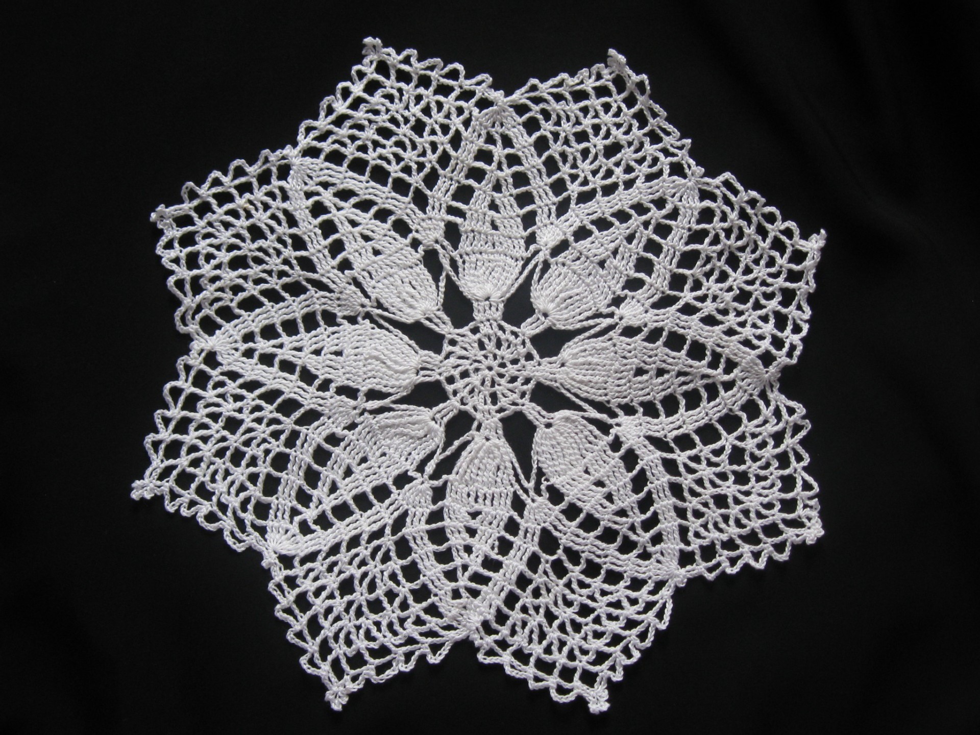 fiber, studio shot, surface, black background, design, art and craft, doily, creativity, material, no people, flower head, 1080P, plant, weave, white color, HD Wallpaper