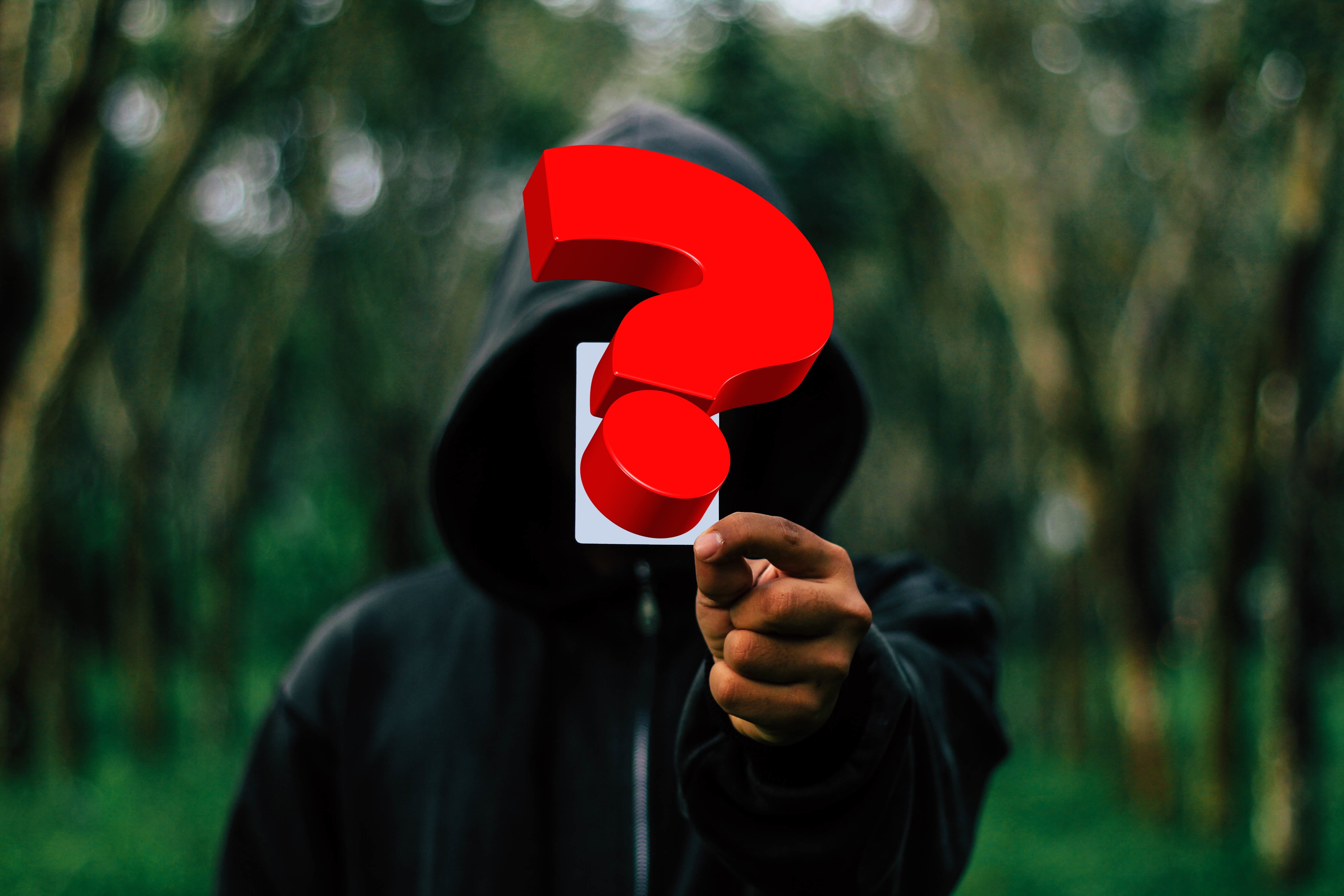computer science, computer virus, portrait, hoodie, forest, adult, programming, sunlight, script, data exchange, obscured face, day, binary, 5K, computer, HD Wallpaper