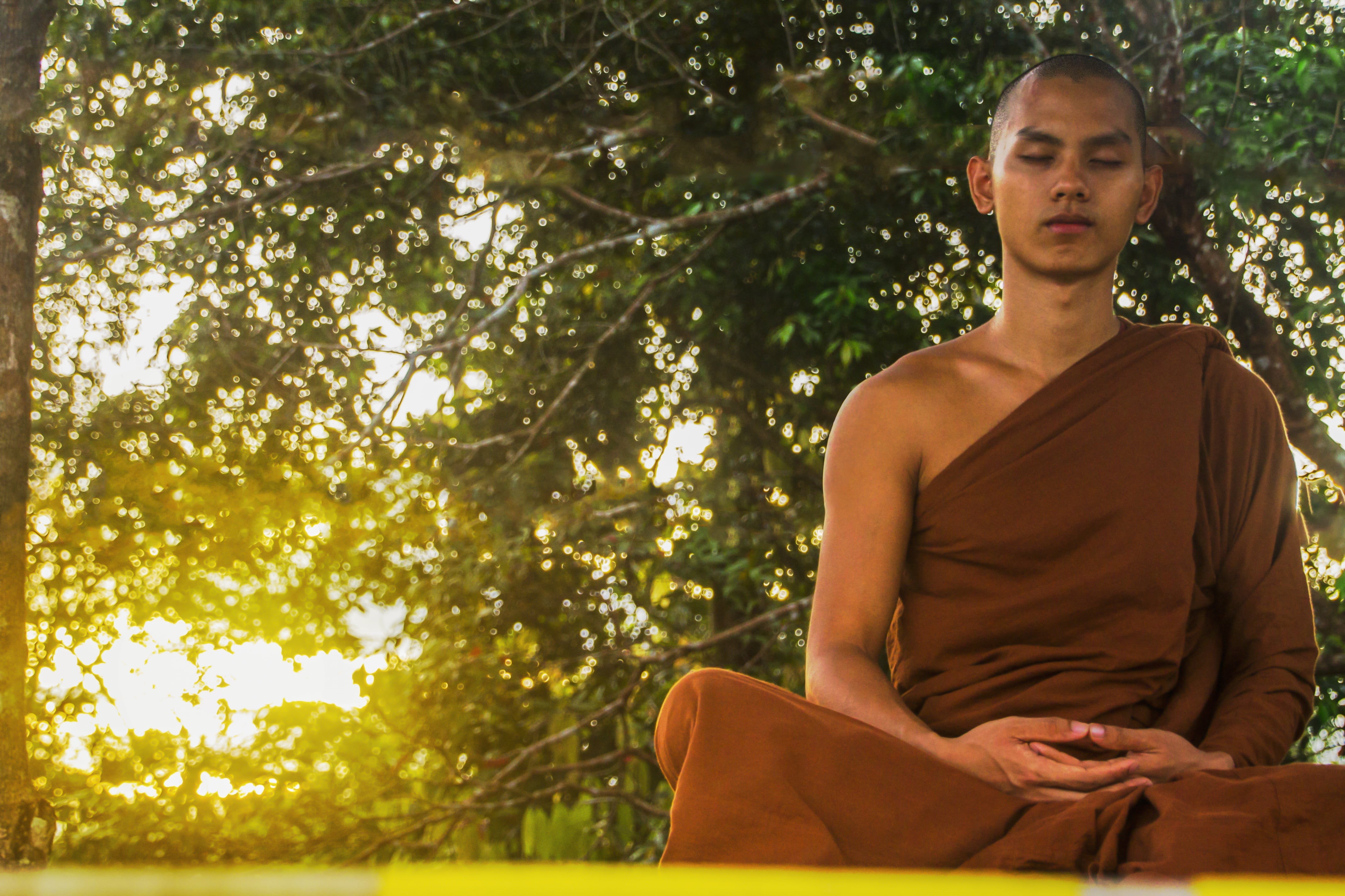 young adult, sitting, outdoors, spirituality, meditating, nature, tranquility, three quarter length, meditation, posture, theravada buddhism, front view, HD Wallpaper