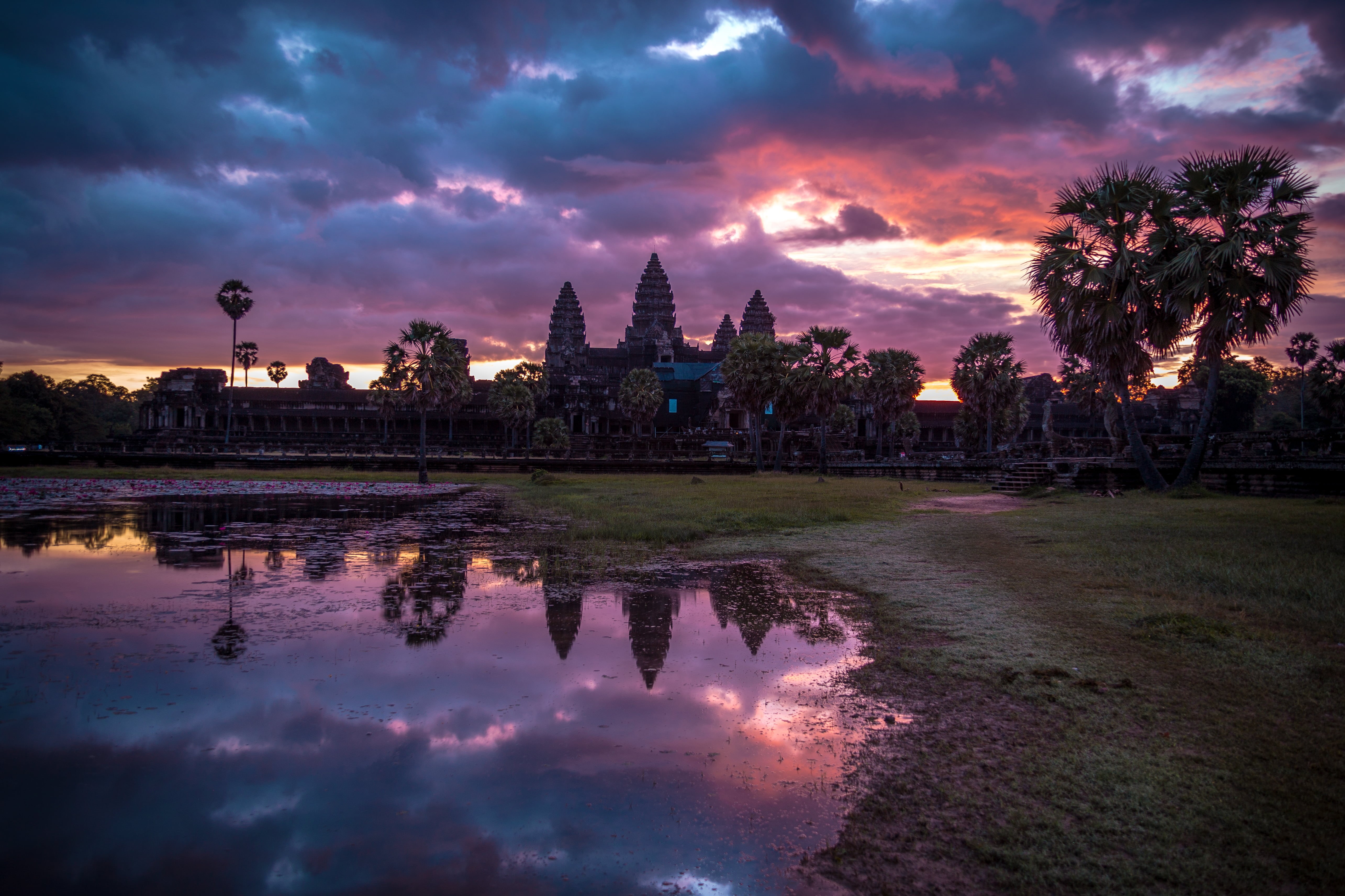 spirituality, Cambodia, near, sunrise, building, trees, 5K, Angkor Wat, tree, no people, architecture, cloud - sky, dusk, reflecting, glassy, sky, growing, HD Wallpaper