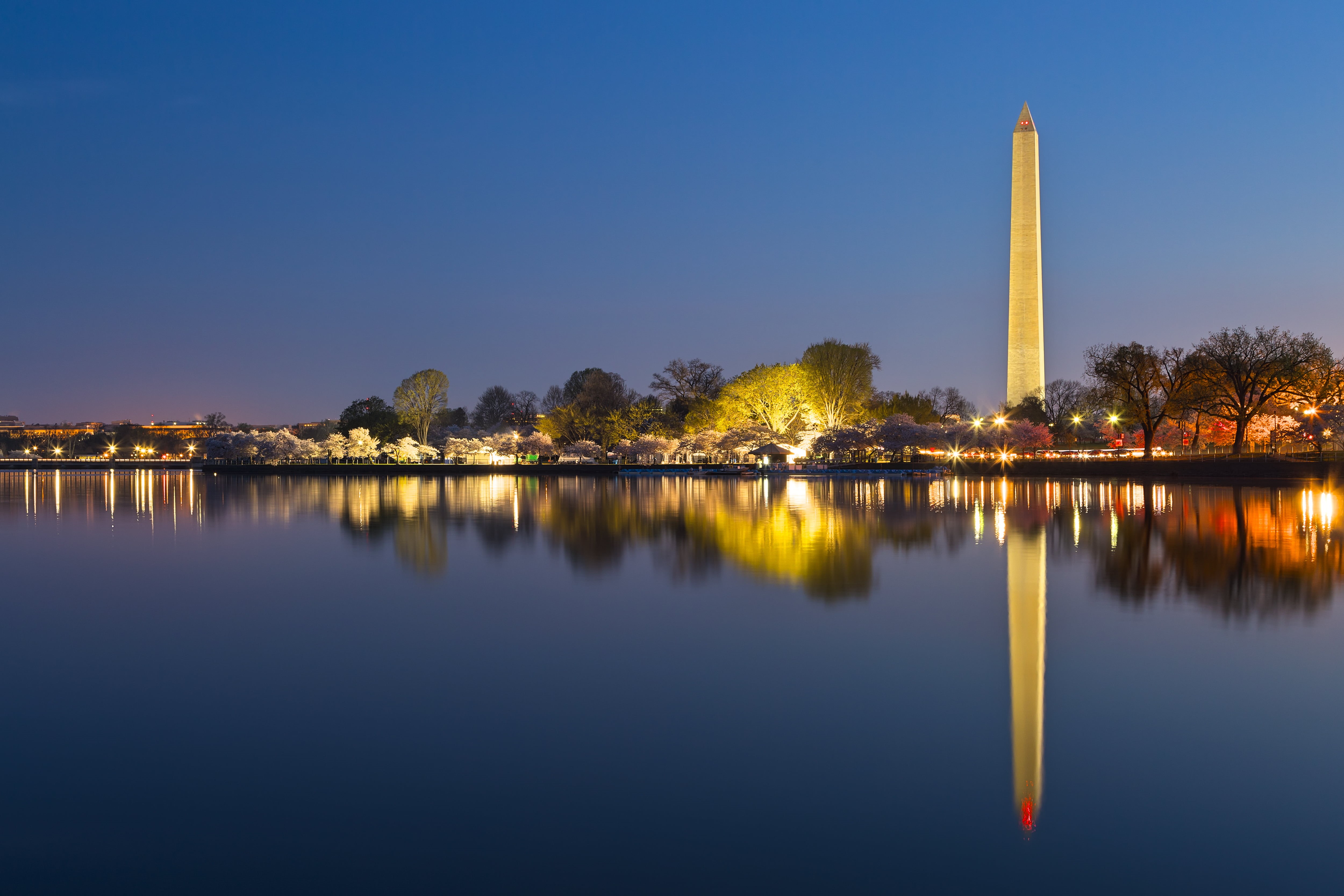 blue, light, historical, scenery, Washington DC, city, lake, reflection, Dawn, washington, usa, tidal  basin, glow, 4K, united  states, famous Place, beautiful, HD Wallpaper