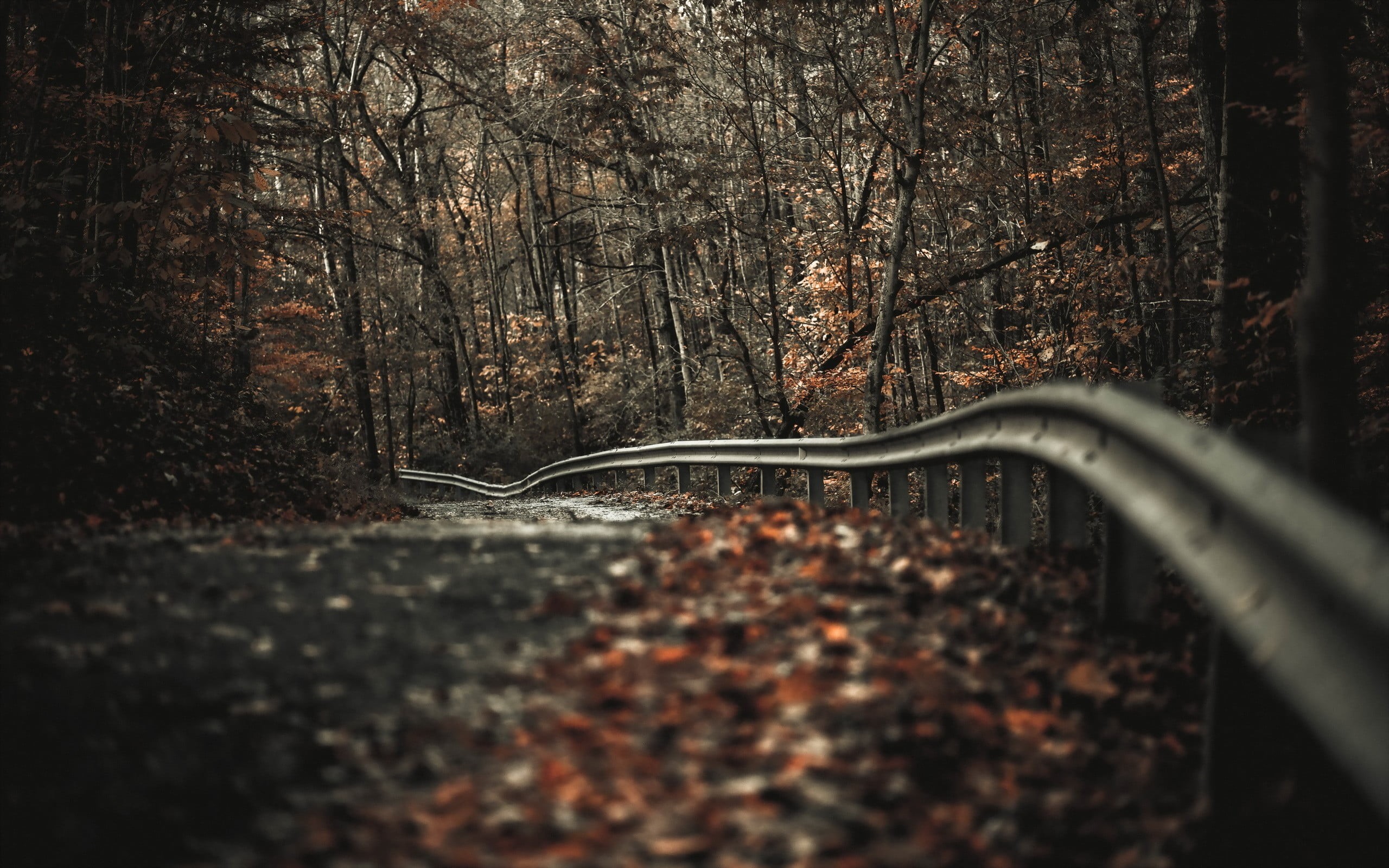2K, transportation, fence, trees, close-up, depth of field, nature, street, day, fall, park - Man Made Space, land, travel, green Color, plant part, no People, HD Wallpaper
