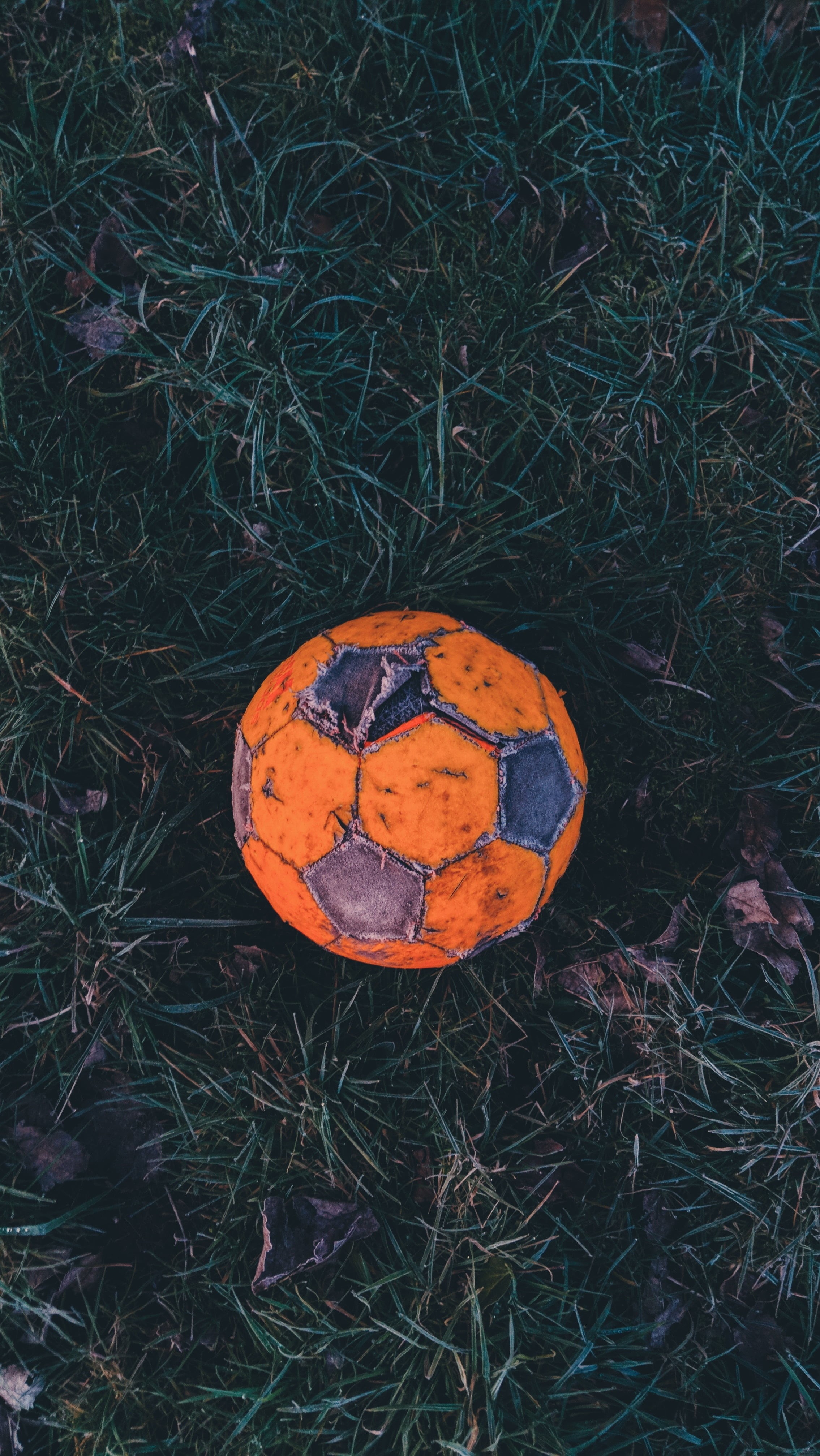 old, high angle view, outdoors, damaged, football, metal, 4K, orange, field, hoarfrost, nature, tree, land, day, plant, growth, grass, gray, dry, soccer ball, Phone HD Wallpaper