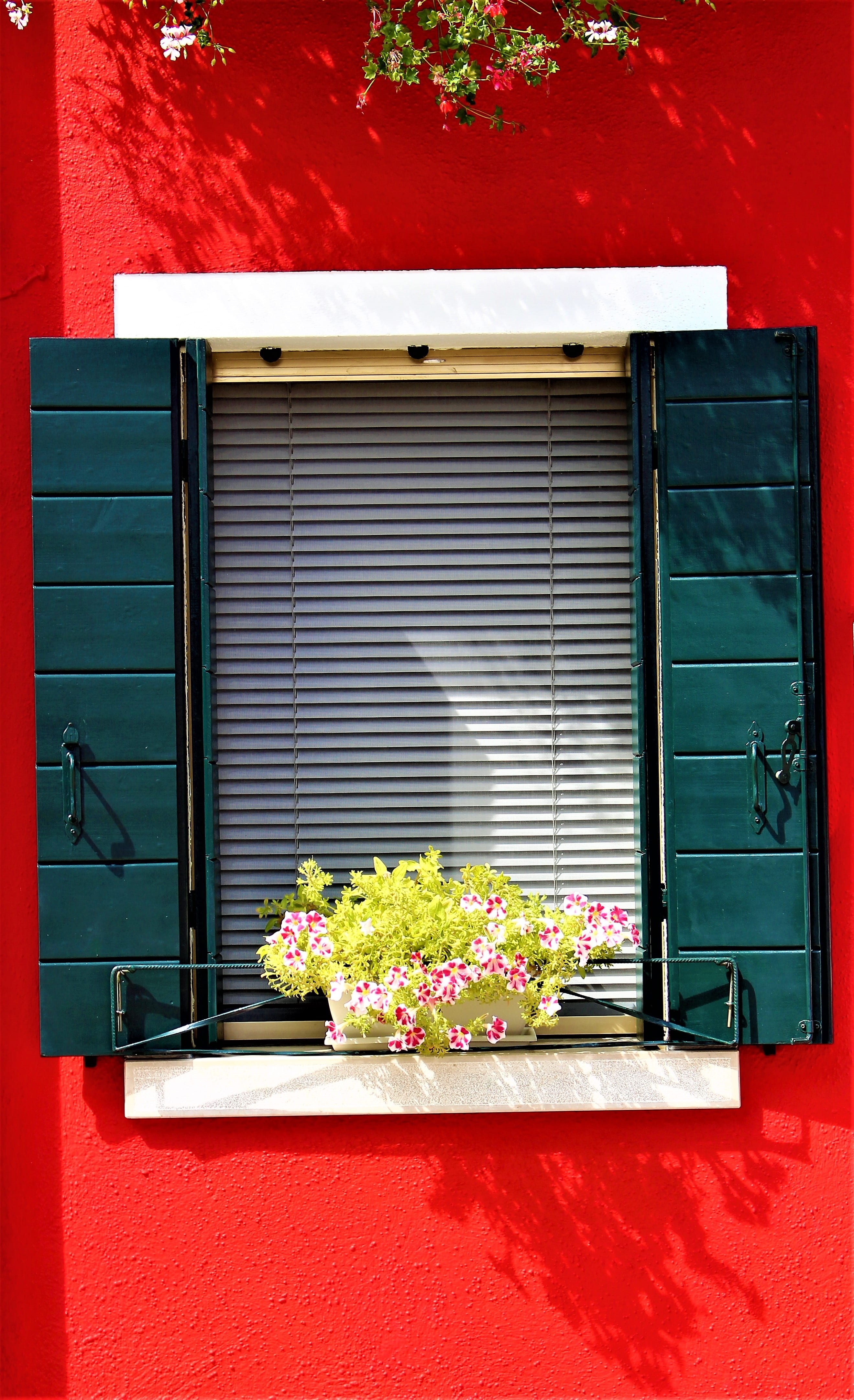 flowering plant, venice, island, shutter, alley, flower pot, older, old house, blinds, window, entrance, colorful, color, italy, facade, society, tourist destination, Phone HD Wallpaper