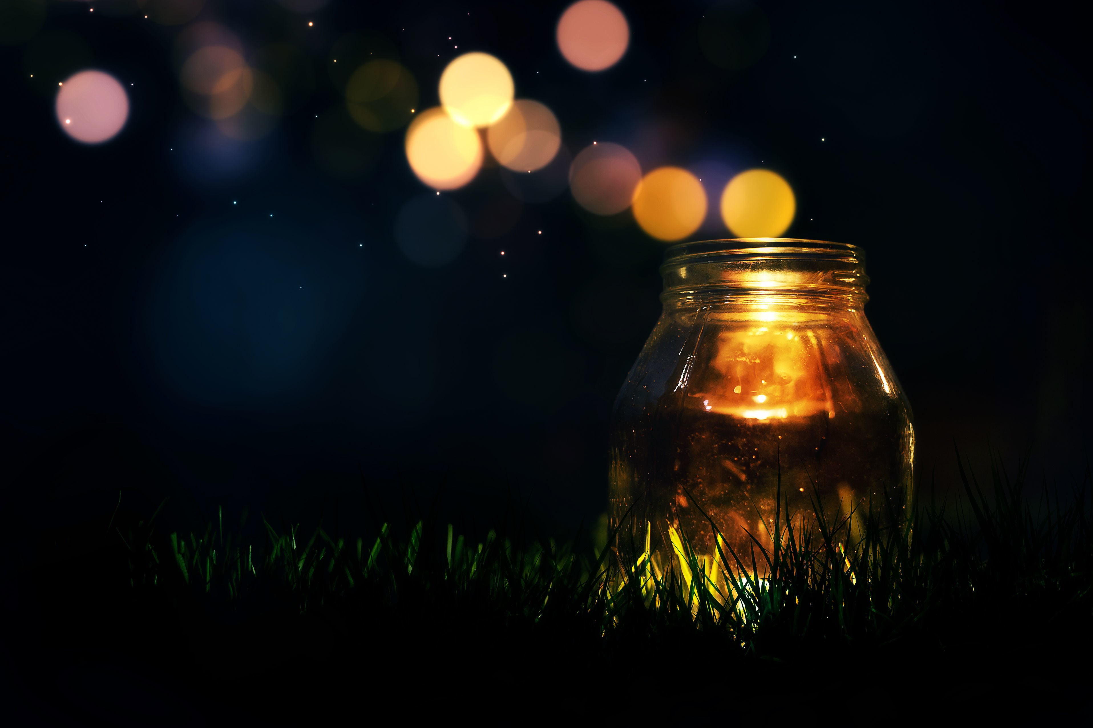 grass, sequins, tree, plant, container, backgrounds, light, christmas, holiday, jar, sky, HD, mood, season, dark, greens, lens flare, HD Wallpaper