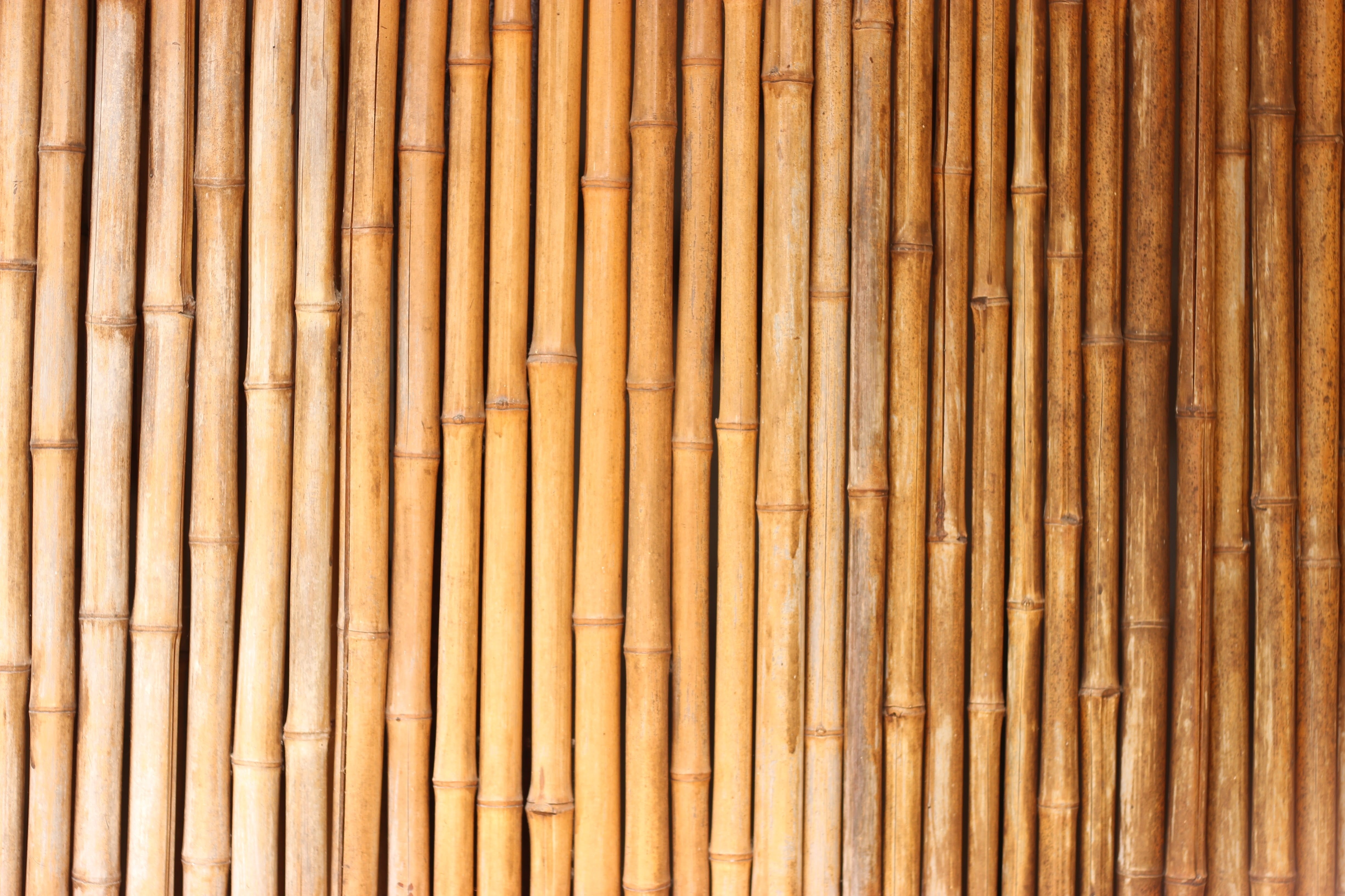 bamboos, nature, asia, bamboo - Material, day, japanese Culture, textured, Bamboo, Texture, wood, bamboo - Plant, wood - Material, stick - Plant Part, repetition, HD Wallpaper