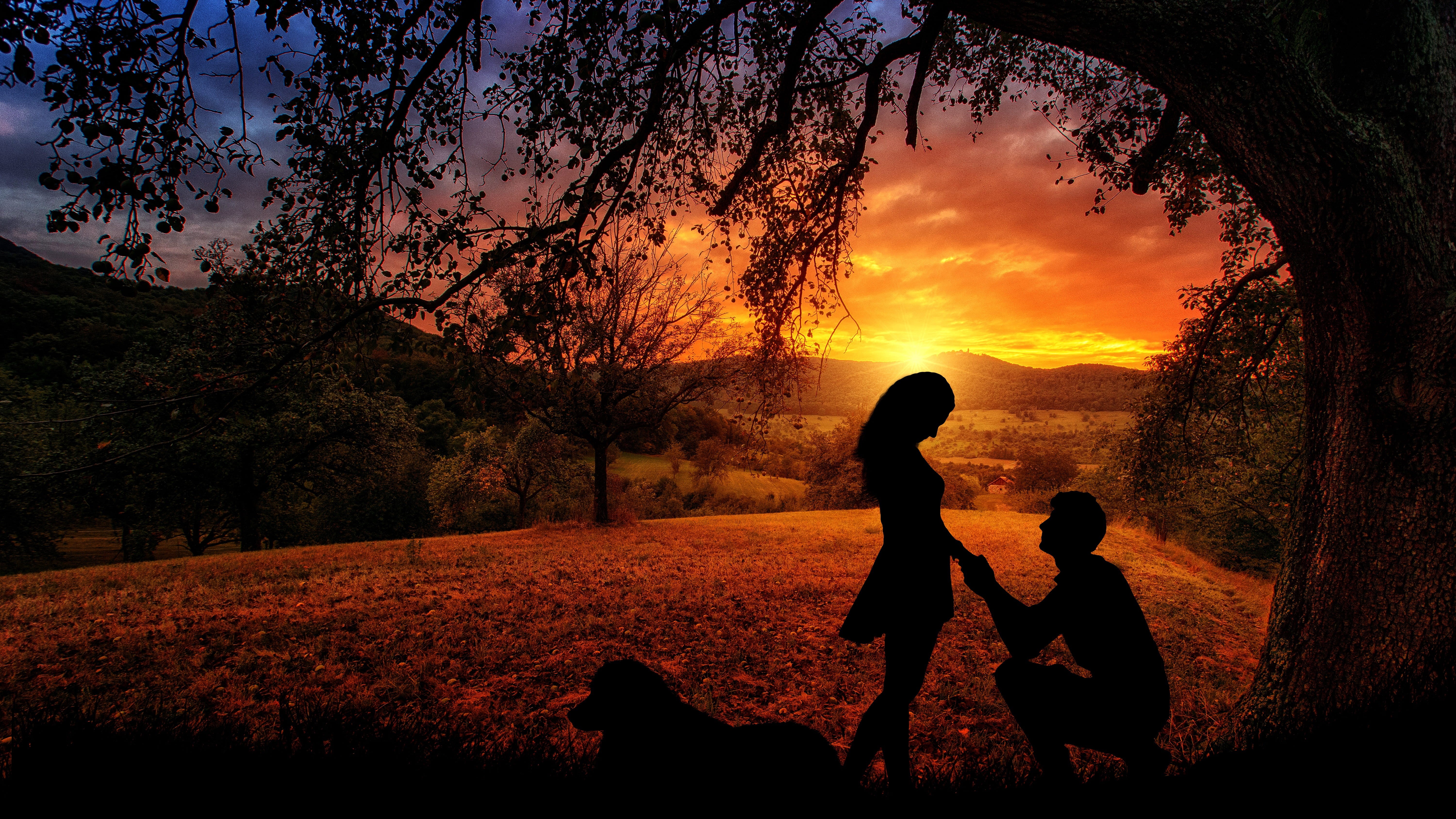 tree, lovers, canine, landscape, beauty in nature, orange color, females, people, silhouette, daughter, couple, outdoors, dusk, dog, leisure activity, two people, HD Wallpaper