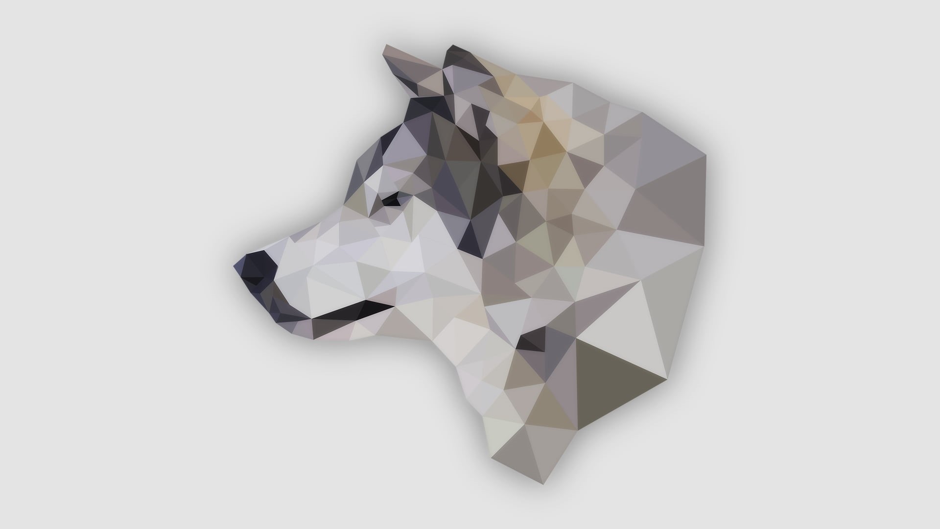 gray, simple, single object, animals, digital composite, paper, white color, white background, directly above, wolf, craft, illustration, art and craft, HD Wallpaper