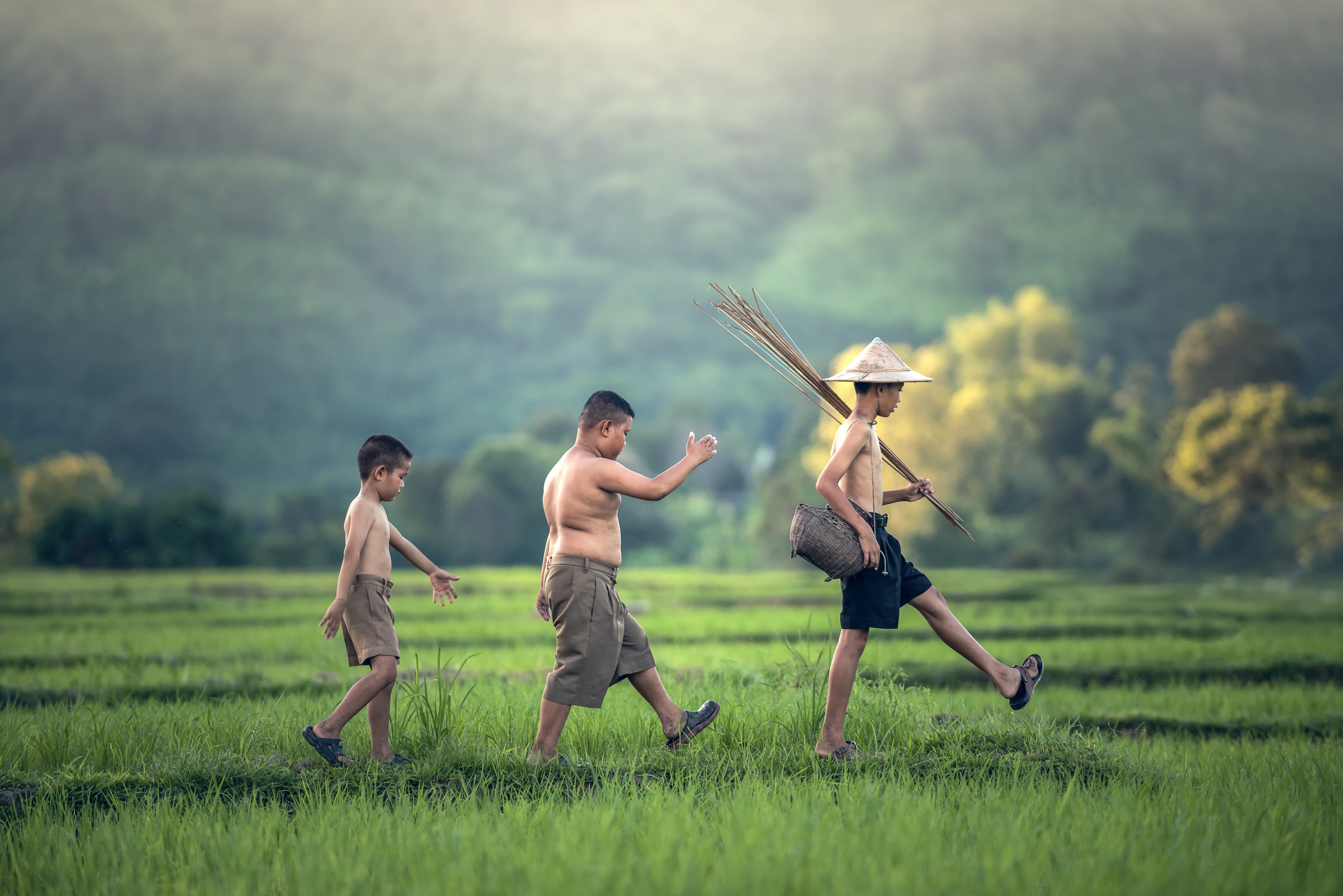 outside of the house, spring, holidays, nature, fishing, males, summer, cambodia, little, background, field, laos, indonesian, men, asia, running, 5K, HD Wallpaper