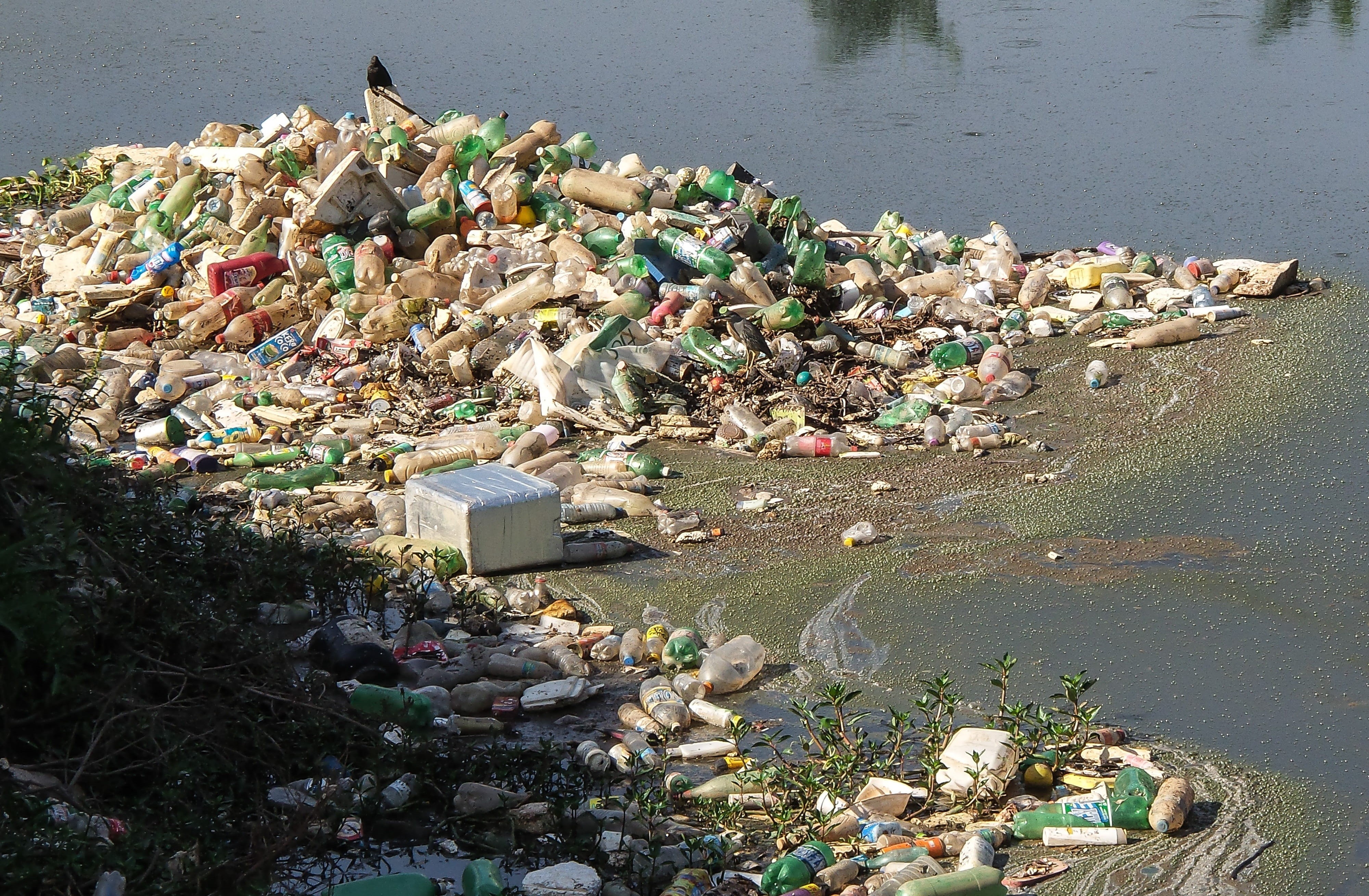 River Pines, dirt, Rubble, environmental damage, consumerism, outdoors, no people, water, river, beach, environment, Trash, high angle view, plastic bag, HD Wallpaper
