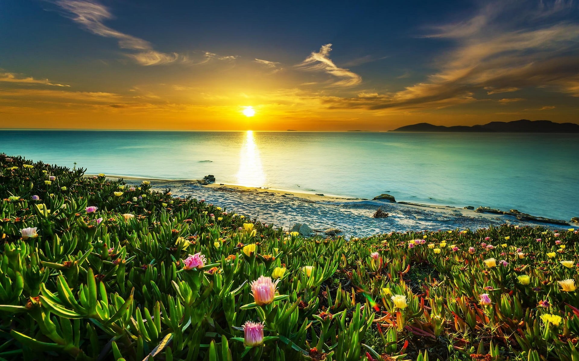 coast, freshness, sunset, pink, calm, land, beauty in nature, no people, horizon, clouds, flowers, scenics - nature, landscape, tranquility, flowering plant, HD Wallpaper