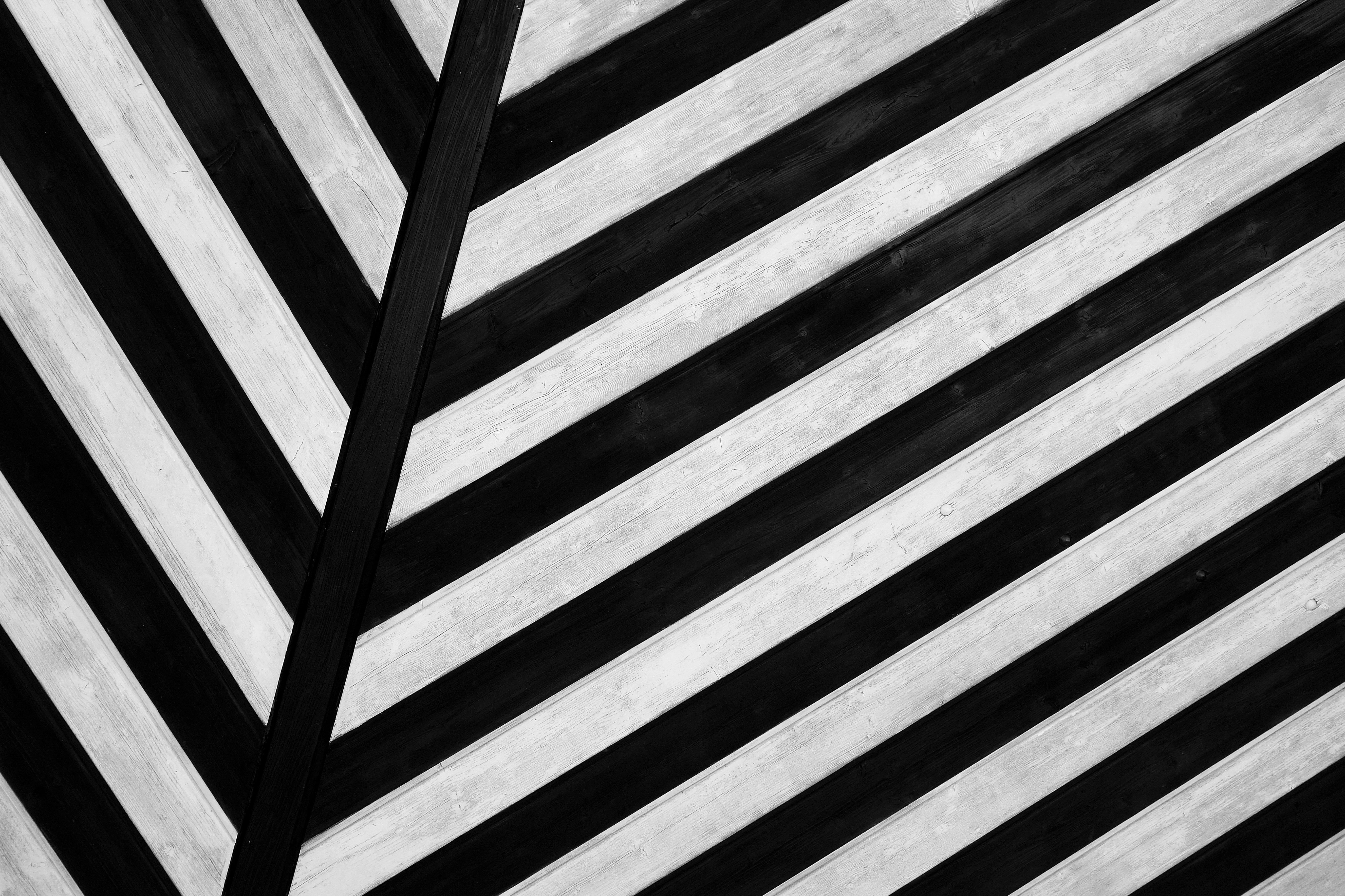 pattern, stripes, white, texture, striped, roof beam, repetition, lines, nature, high angle view, indoors, black, architecture And Buildings, day, backgrounds, HD Wallpaper