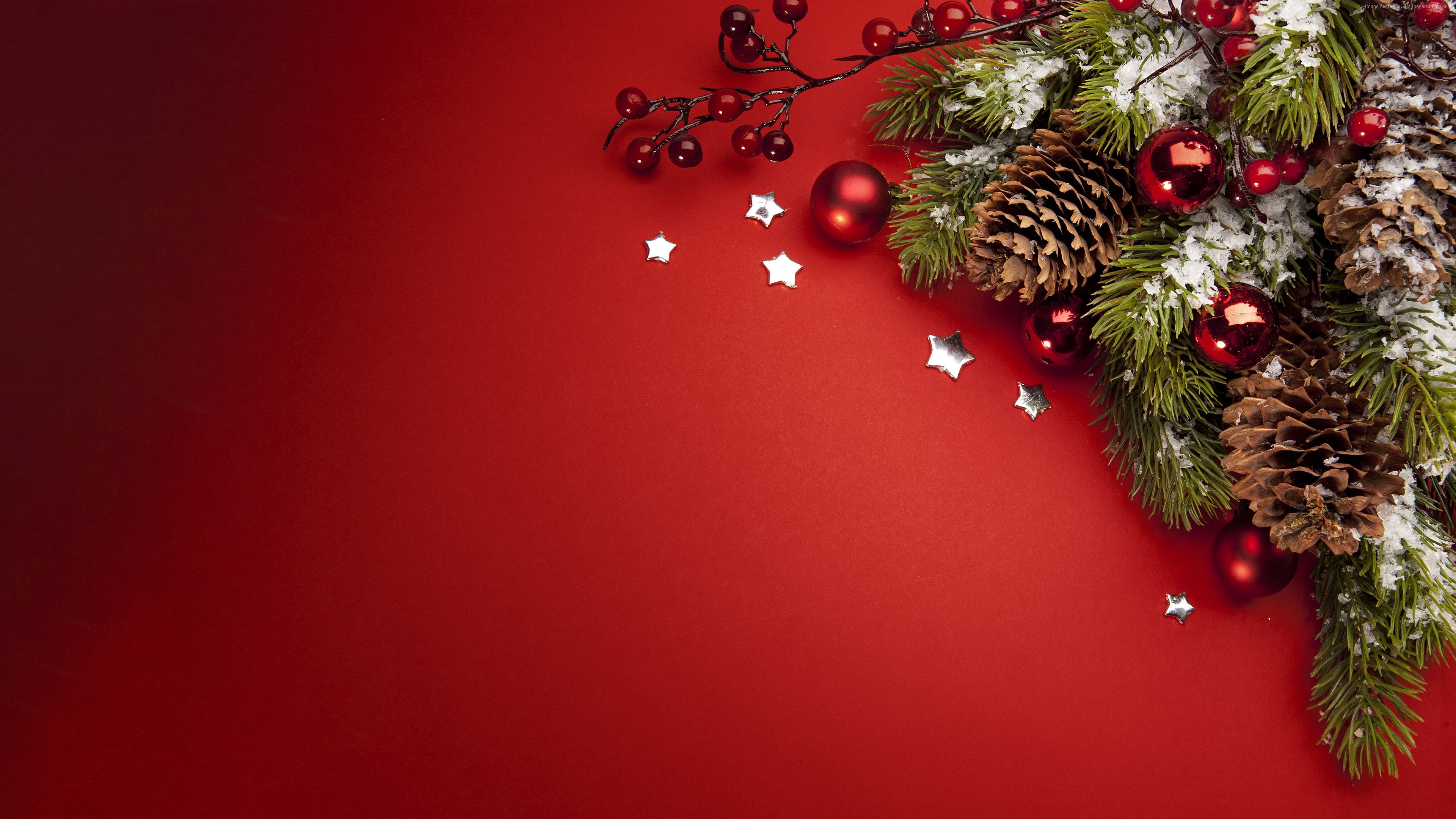 New Year, 4K, fir-tree, Christmas, HD Wallpaper