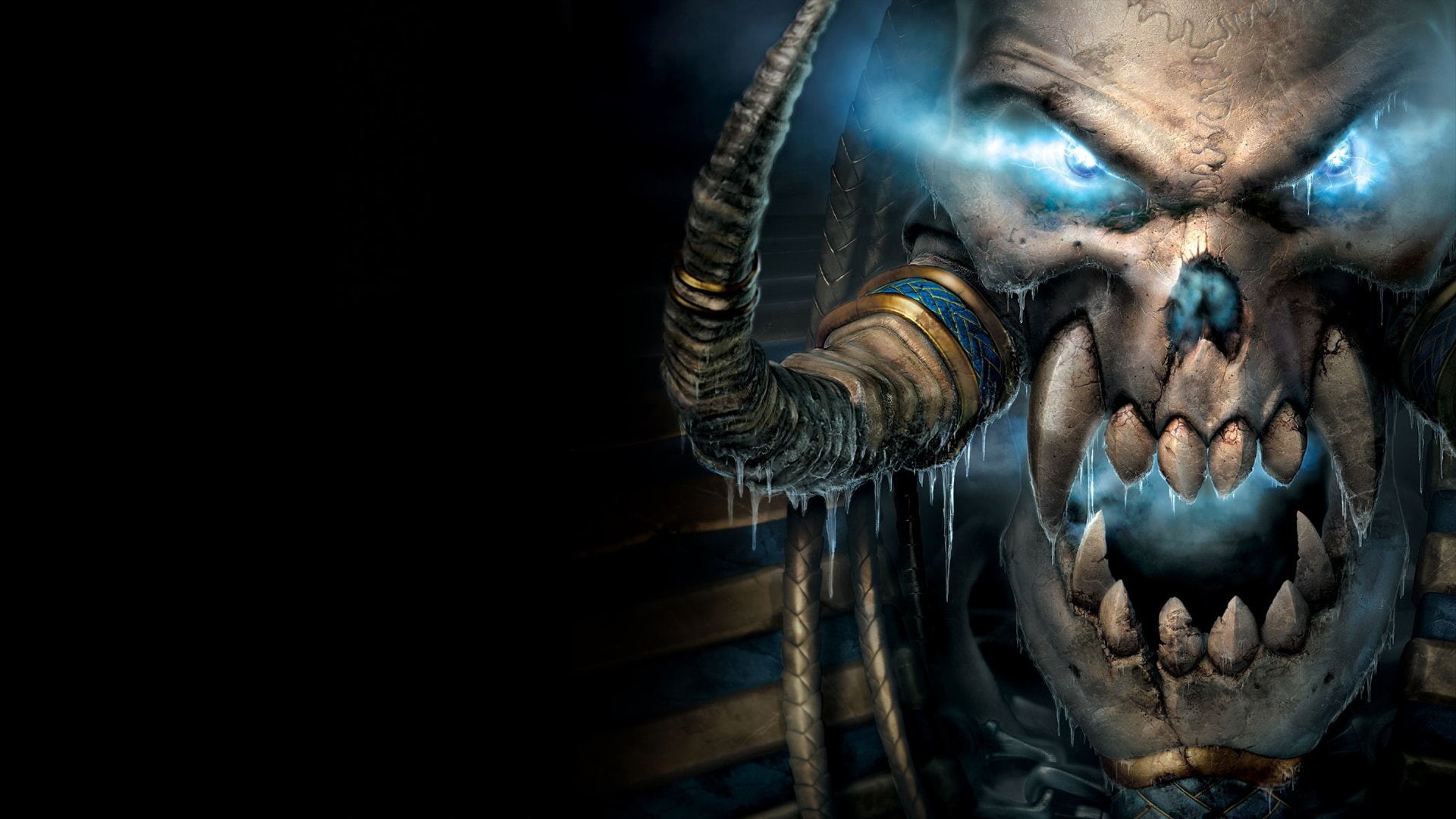 headshot, body part, Warcraft, dark, aggression, front view, Warcraft III: Reign of Chaos, one animal, indoors, human body part, animal wildlife, Lich, HD Wallpaper