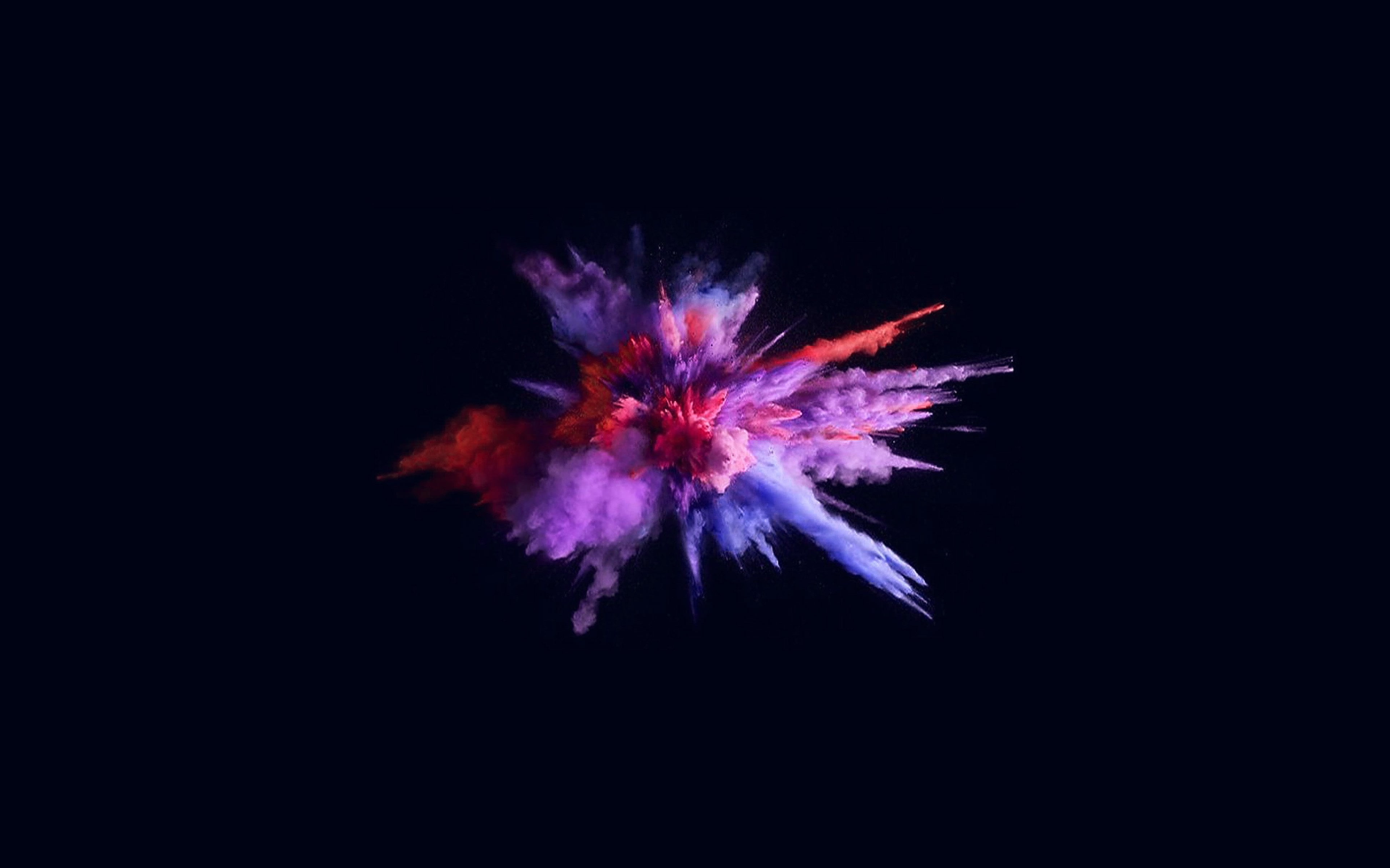 indoors, flower, apple, black background, pro, nature, paint, copy space, celebration, 4K, night, illuminated, arts culture and entertainment, no people, HD Wallpaper