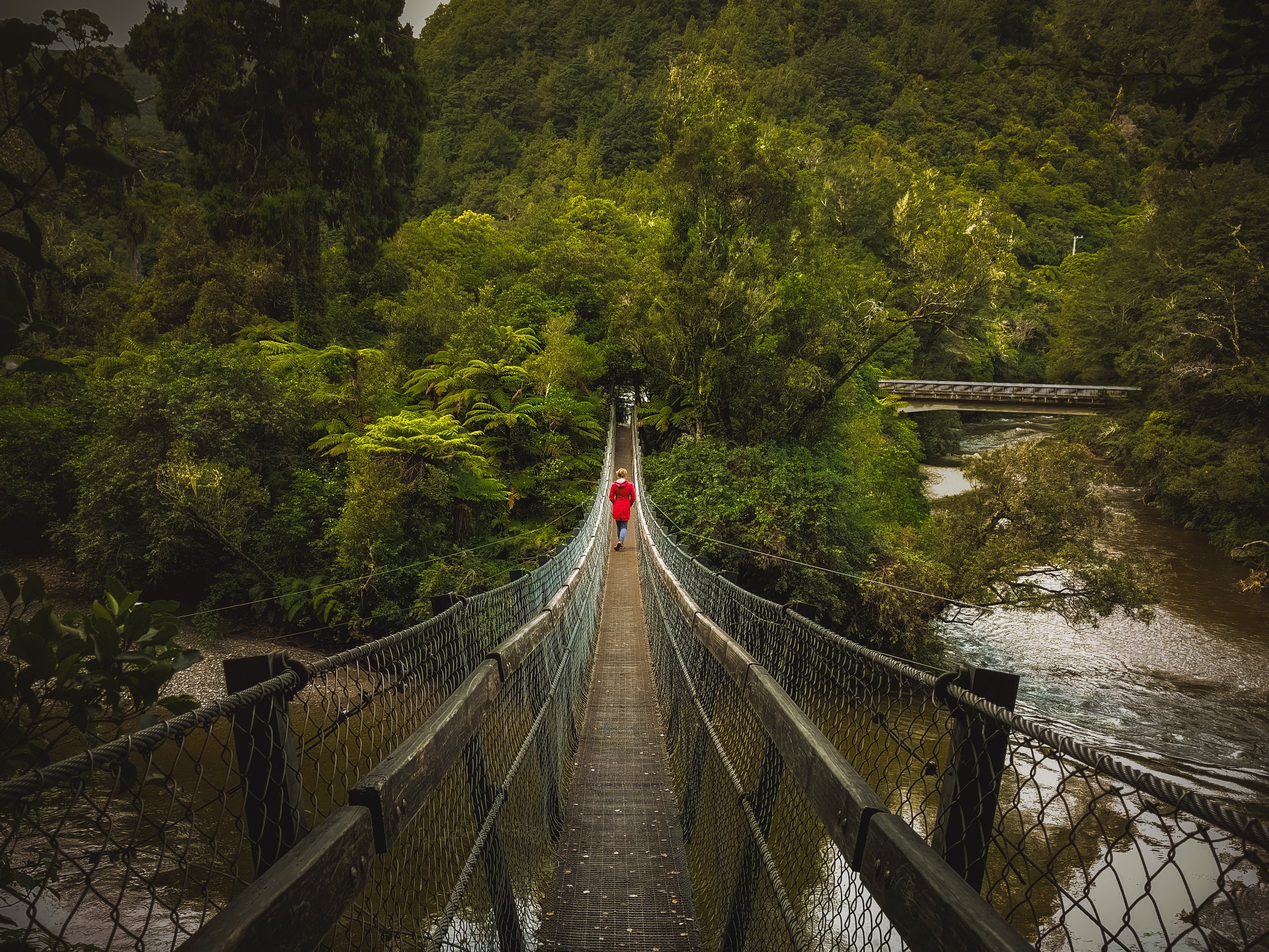 outdoors, rope bridge, hiking, contrast, mountain, rivendell, person, day, the way forward, adventure, forest, tranquility, 2K, swing bridge, plant, built structure, HD Wallpaper