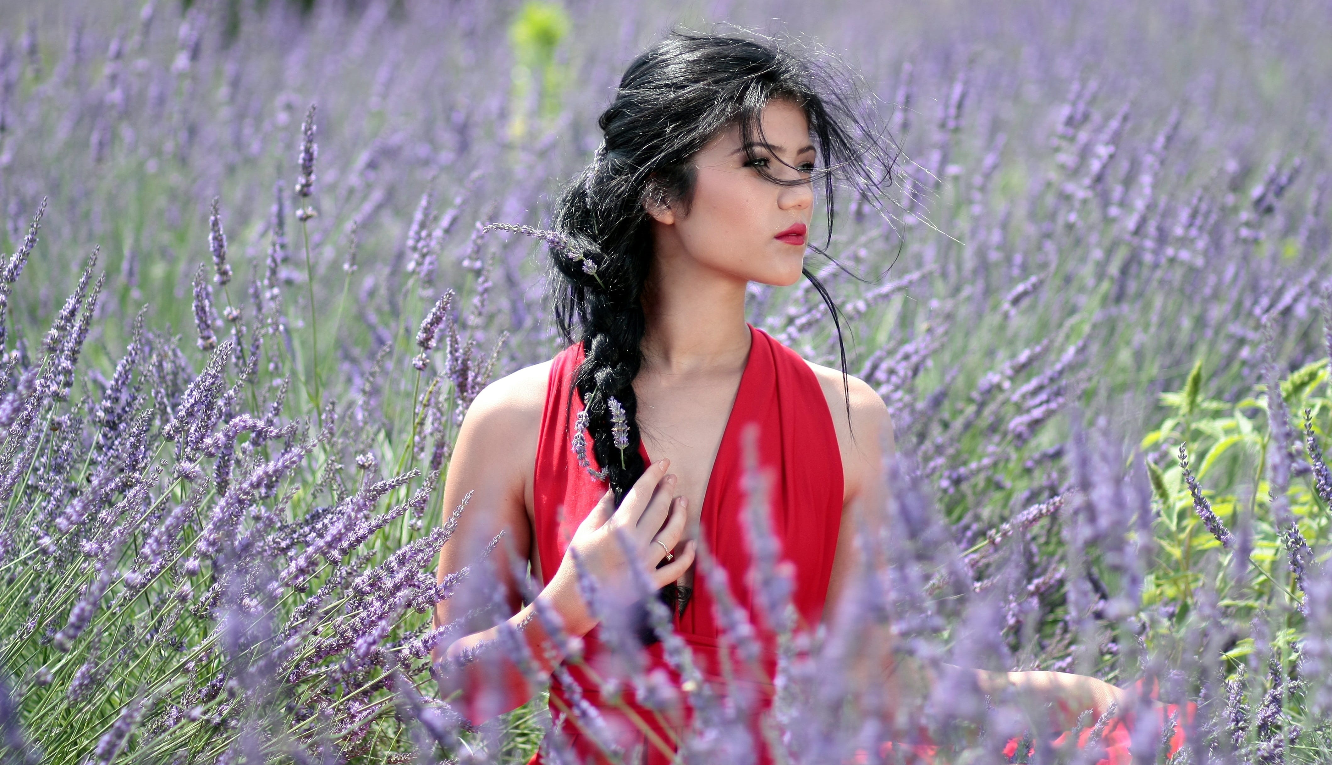 plant, Beautiful Girl, caucasian Ethnicity, only women, purple, Lavender, young Adult, Flowers, beauty, females, female, flowering plant, public domain, HD Wallpaper