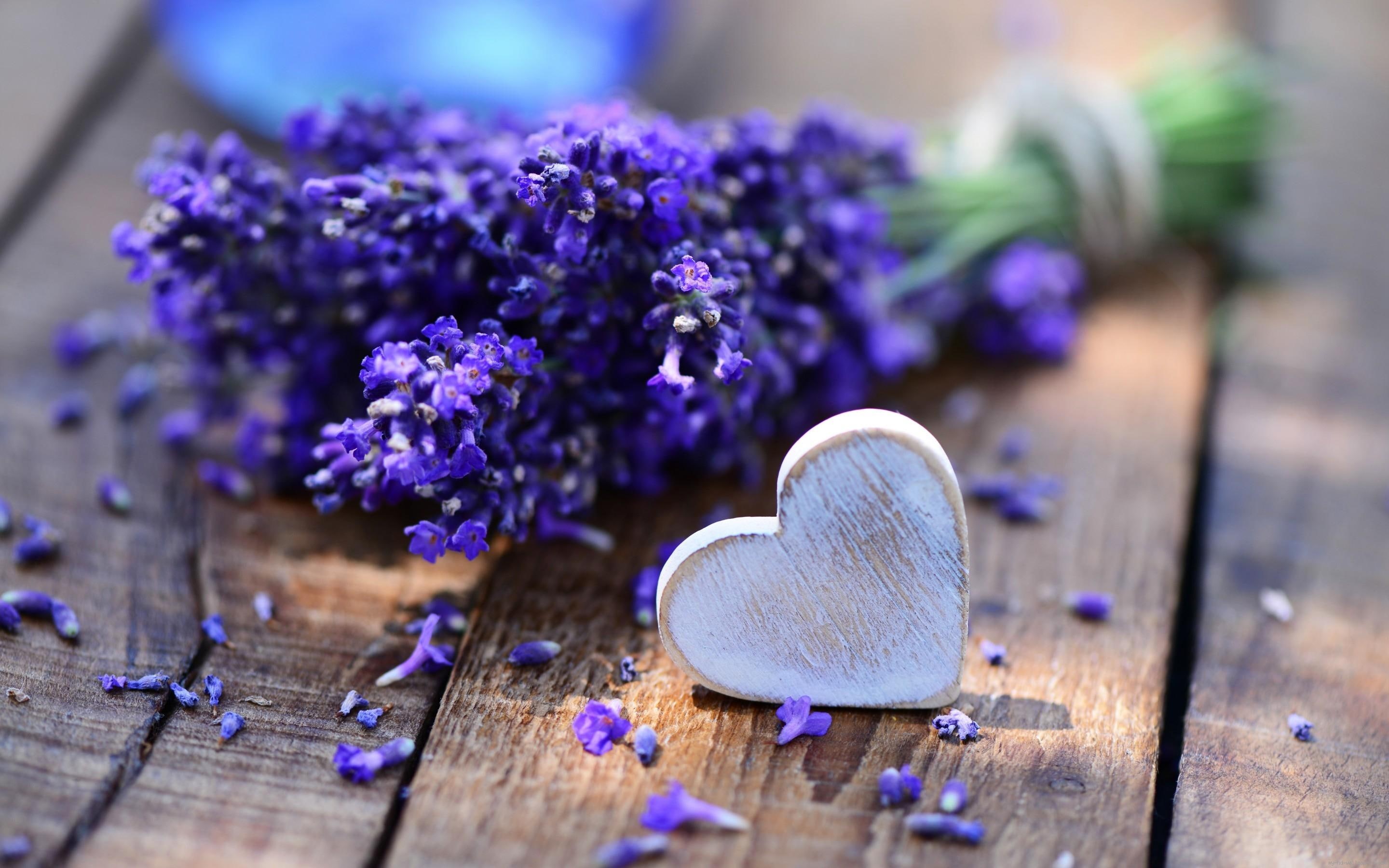 love, purple, lavender, flower, wood, heart, diverse, 2K, HD Wallpaper