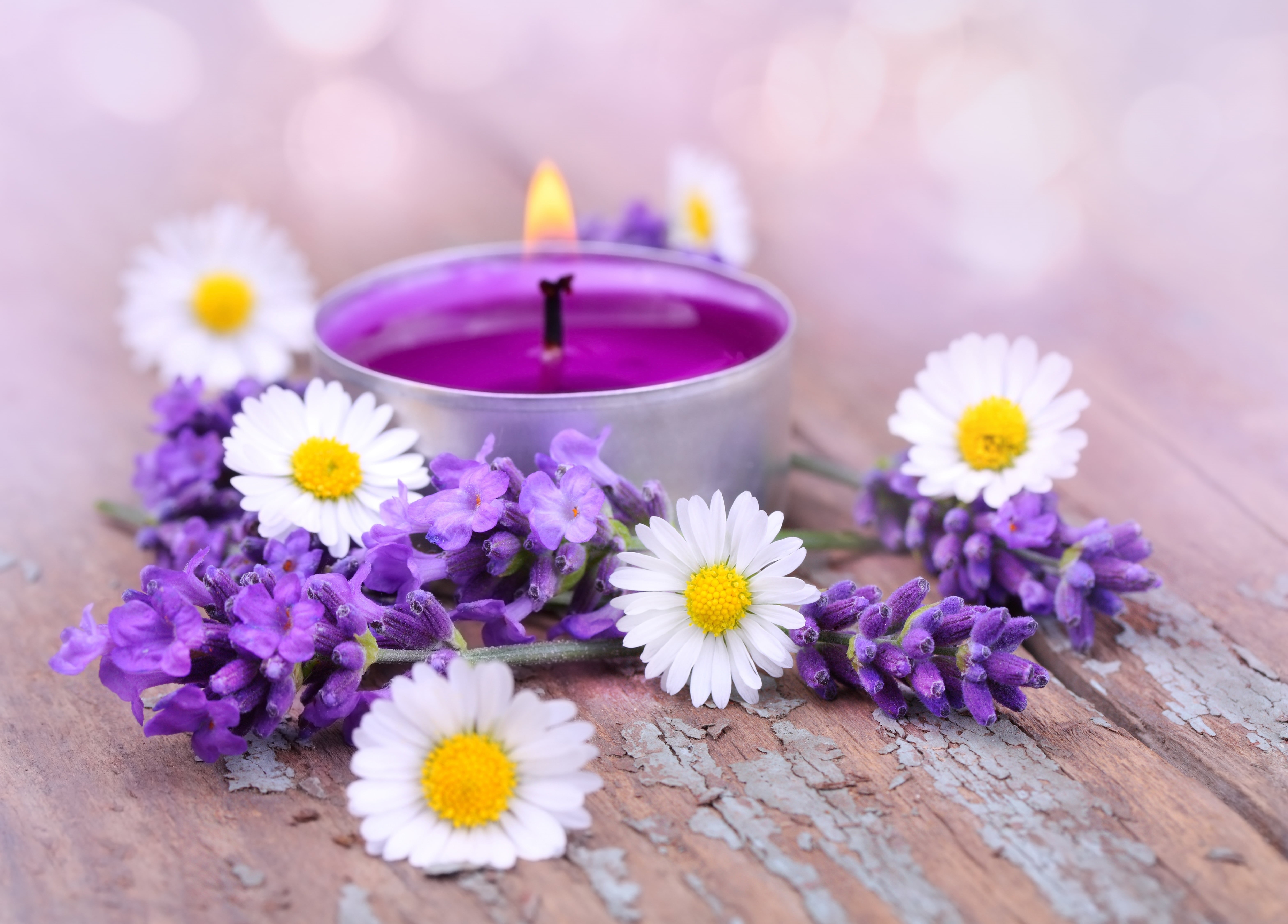 inflorescence, white, health Spa, zen-like, wellbeing, table, aromatherapy, purple, flowering plant, plant, backgrounds, tranquil Scene, candle, beauty Treatment, HD Wallpaper