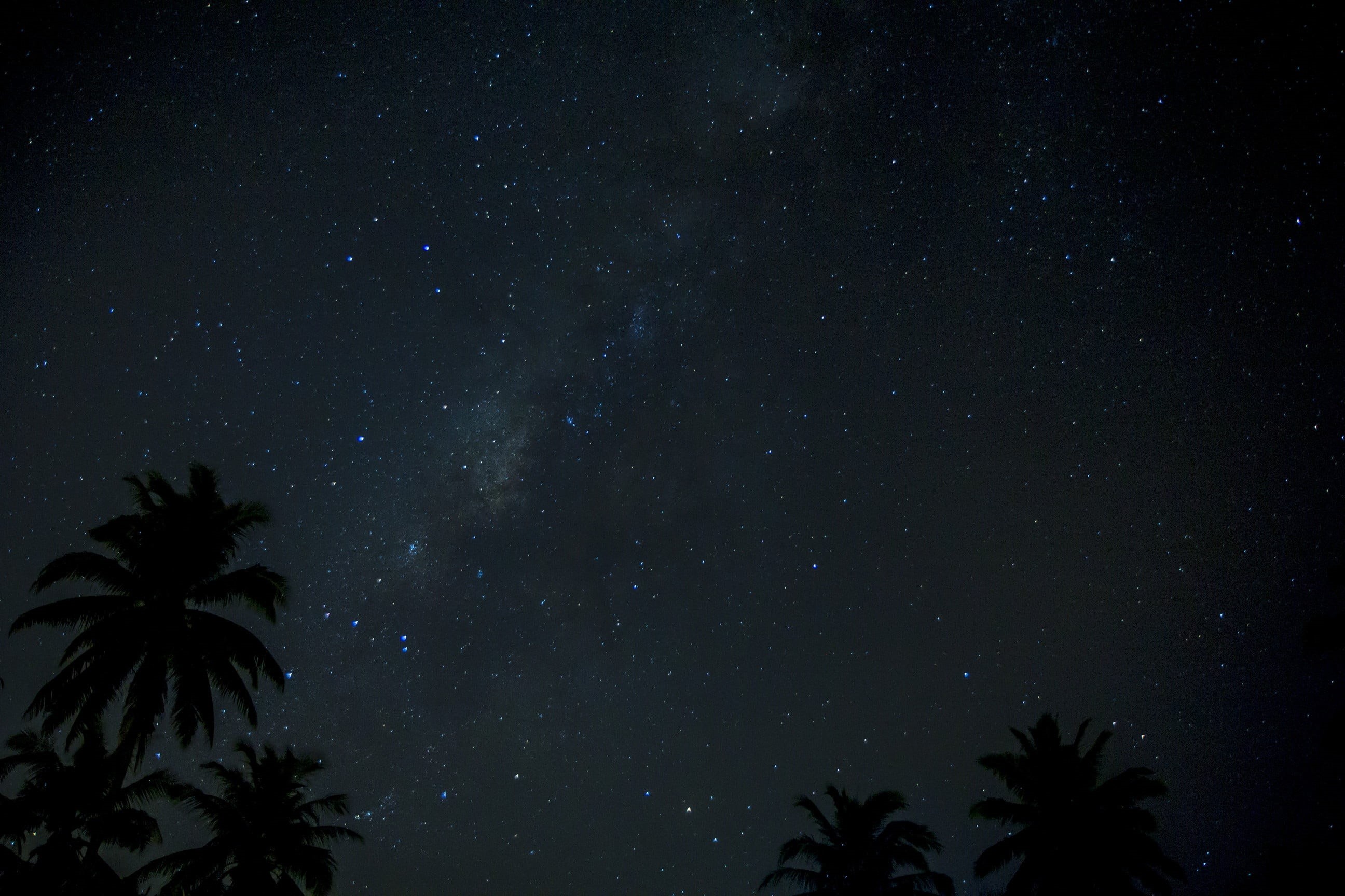 outdoors, space and astronomy, galaxy, cosmic, no people, palm, coconut, starlight, constellation, star - Space, beauty in nature, science, scenics - nature, HD Wallpaper