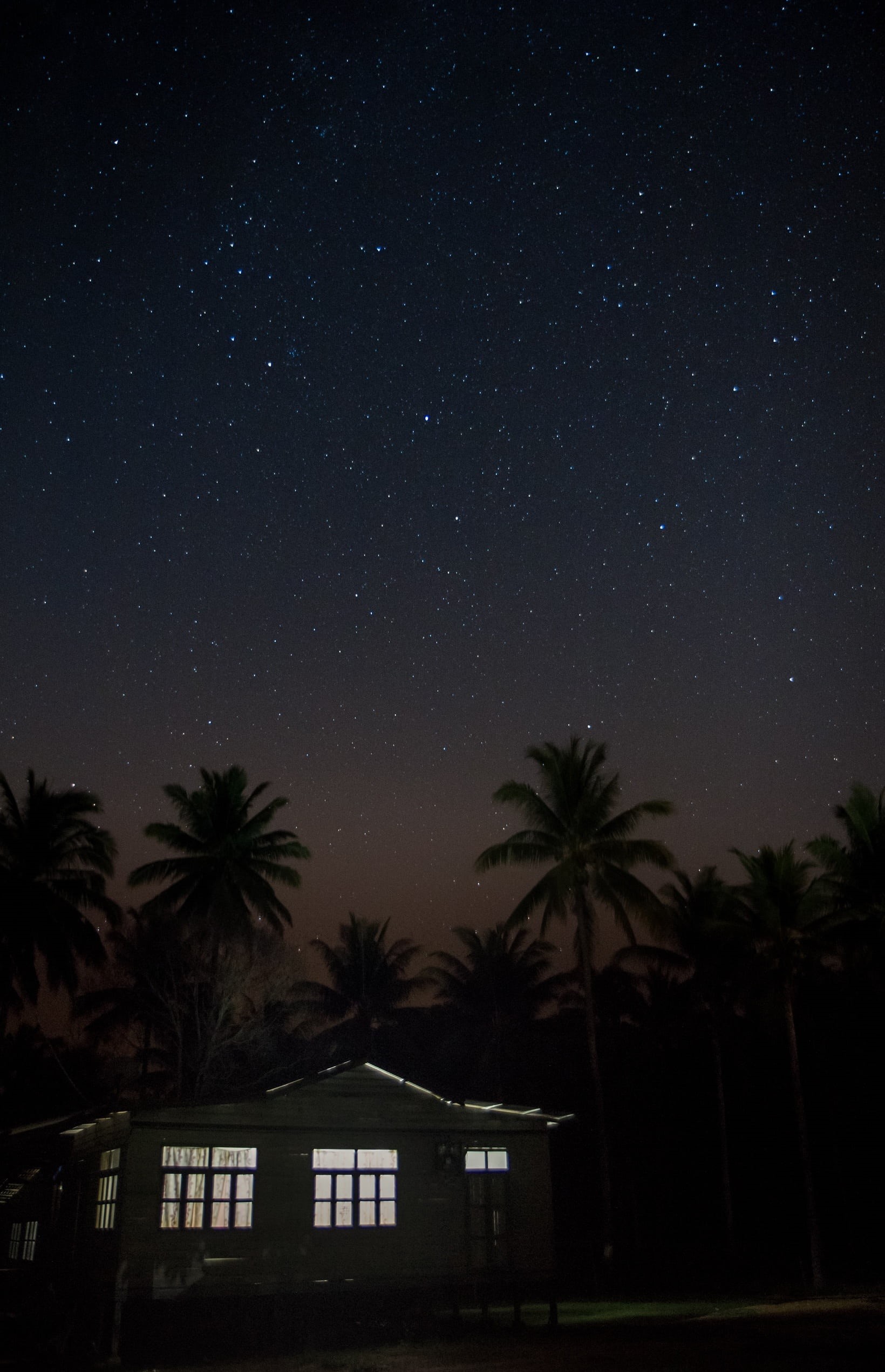 star - space, tree, building, constellation, astronomy, 1080P, astrophotography, palm tree, house, sky, low angle view, coconut, star field, space, cosmic, Phone HD Wallpaper