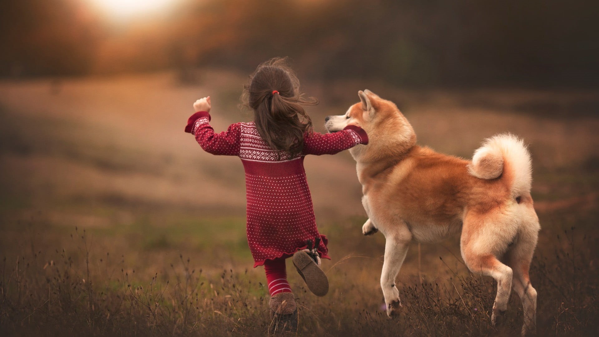 Shiba Inu, hairstyle, girls, childhood, domestic animals, children, one person, running, canine, animal, outdoors, pets, land, 1080P, animal themes, innocence, HD Wallpaper