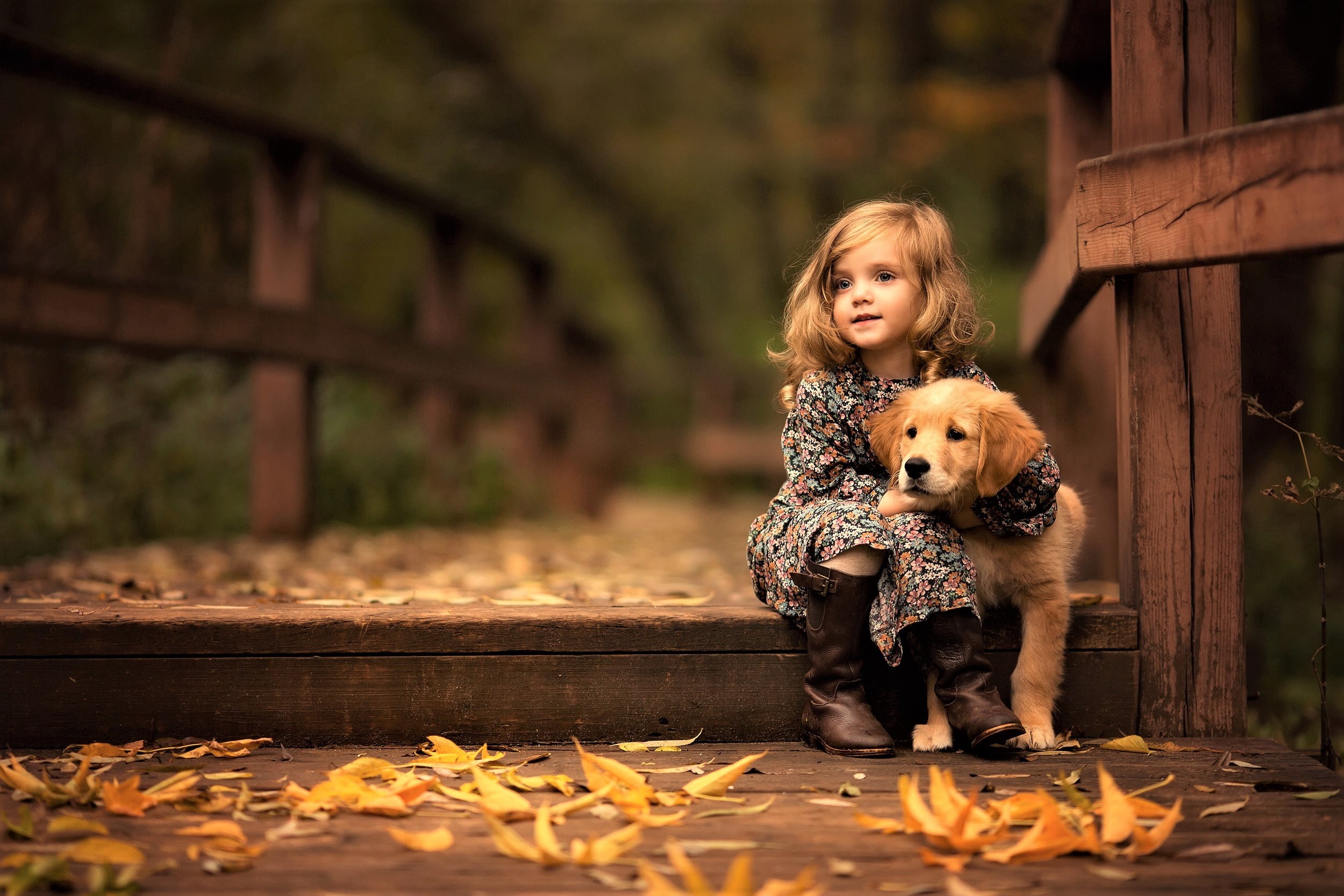 people, animals, emotion, pets, little girl, sitting, domestic, canine, childhood, hd, autumn, happiness, children, nature, retriever, hair, mammal, one animal, HD Wallpaper