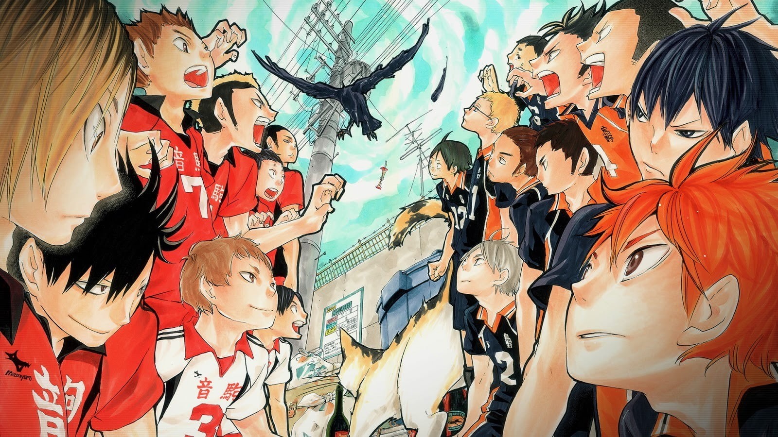  indoors, creativity, 720P, art and craft, day, Haikyuu!!, retail, group of people, multi colored, real people, anime, variation, adult, Haikyuu, HD Wallpaper