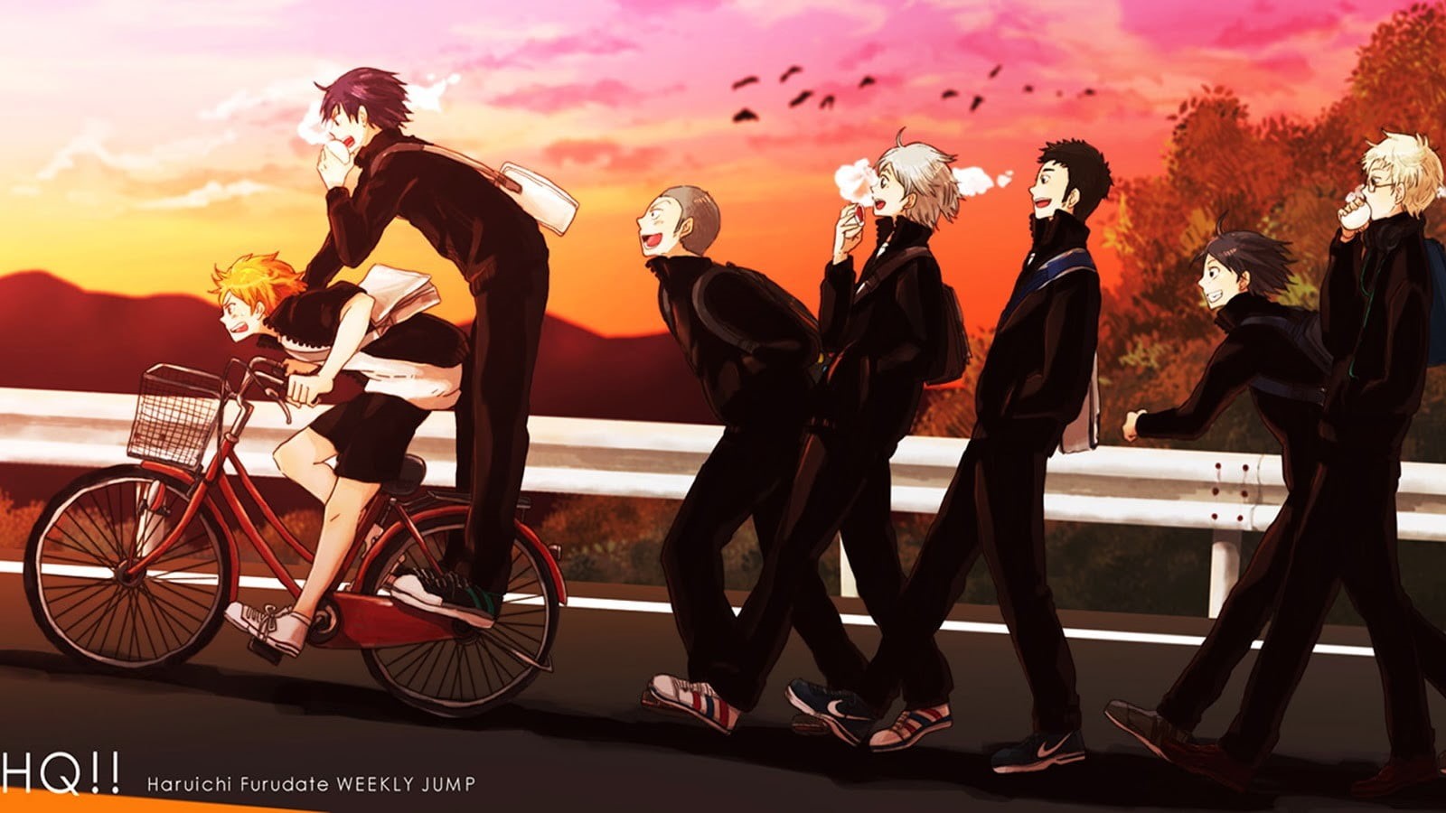 sport, competition, group of people, full length, black, women, helmet, sleeved, bicycle, lifestyles, sunset, white, Haikyuu, people, men, 720P, headwear, HD Wallpaper