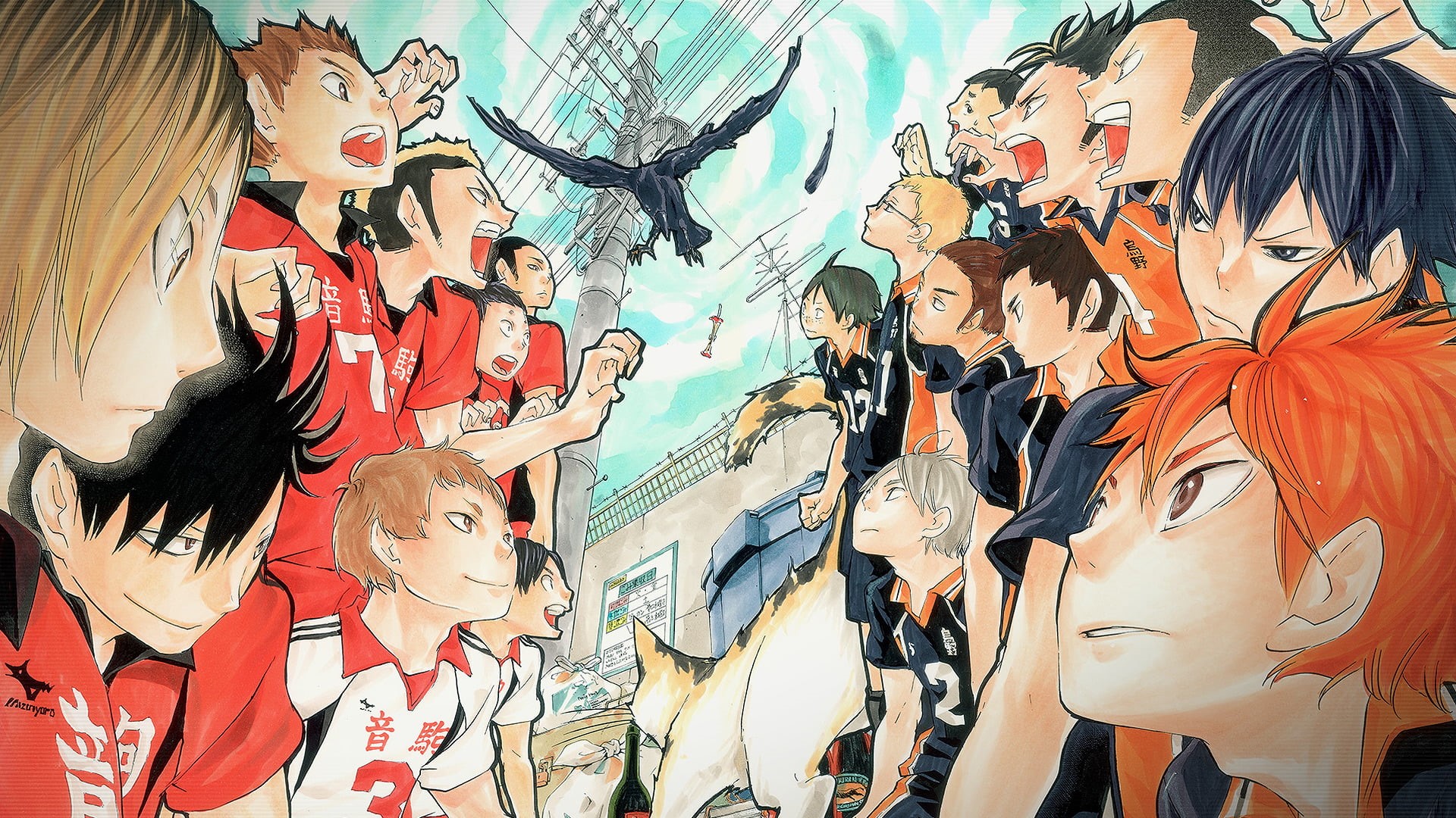 Haikyu!!, Nekoma High, city, variation, full frame, women, female likeness, choice, representation, retail, human representation, male likeness, group of people, HD Wallpaper