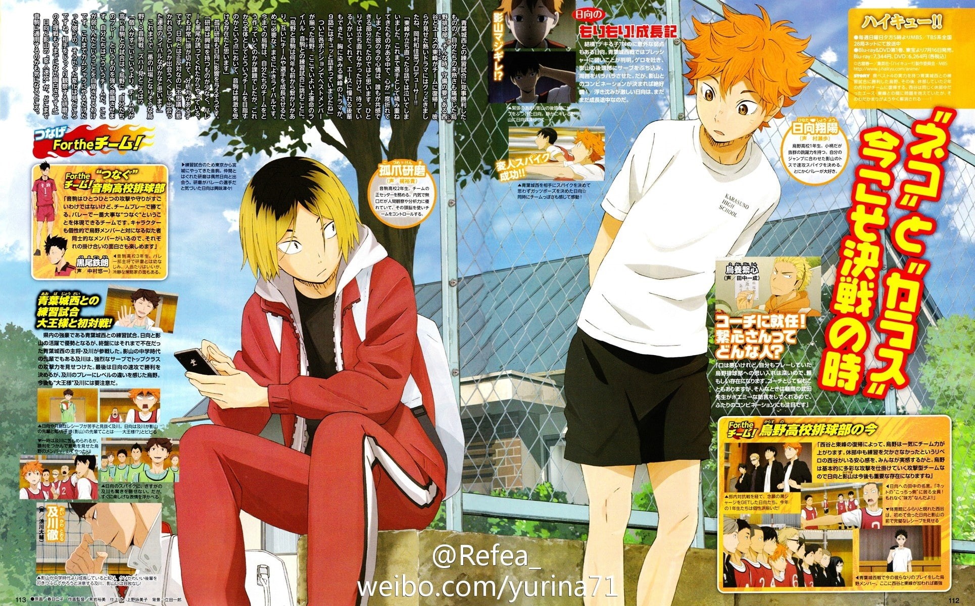 character, series, haikyuu!!, hinata, kozume, shouyou, kenma, 1080P, HD Wallpaper