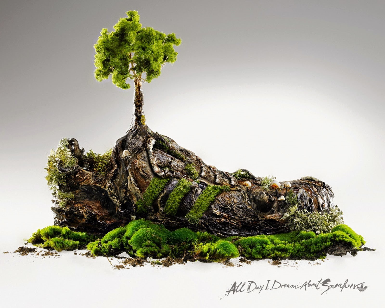 Adidas, freshness, beauty in nature, tree, bonsai tree, plant, food, studio shot, food and drink, green color, no people, nature, trees, healthy eating, HD Wallpaper