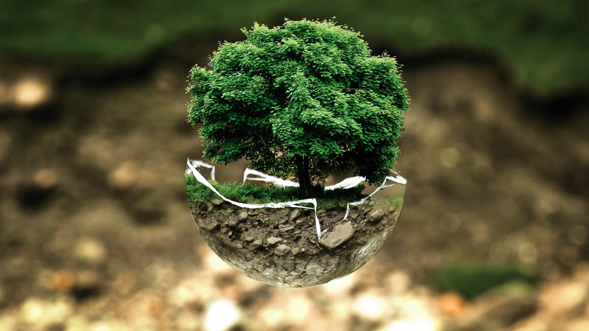 grow, green color, field, surreal, nature, deciduous tree, environmental protection, plant, dying tree, bio, biology, glass ball, earth, 1080P, live, beauty in nature, HD Wallpaper