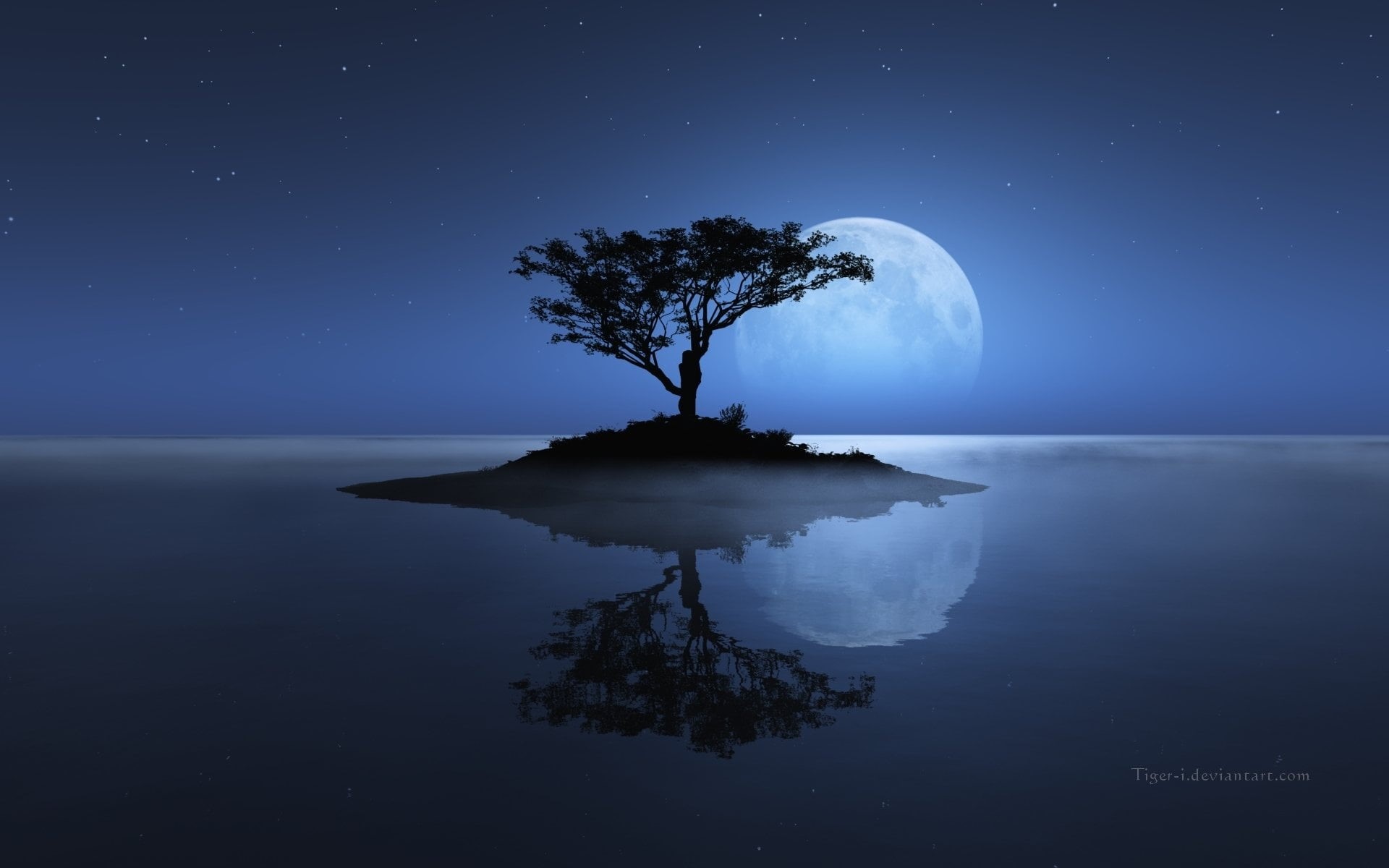 horizon over water, 1080P, sky, Trees, Tree, Reflection, star - space, waterfront, Stars, tranquility, astronomy, idyllic, Night, nature, no people, HD Wallpaper