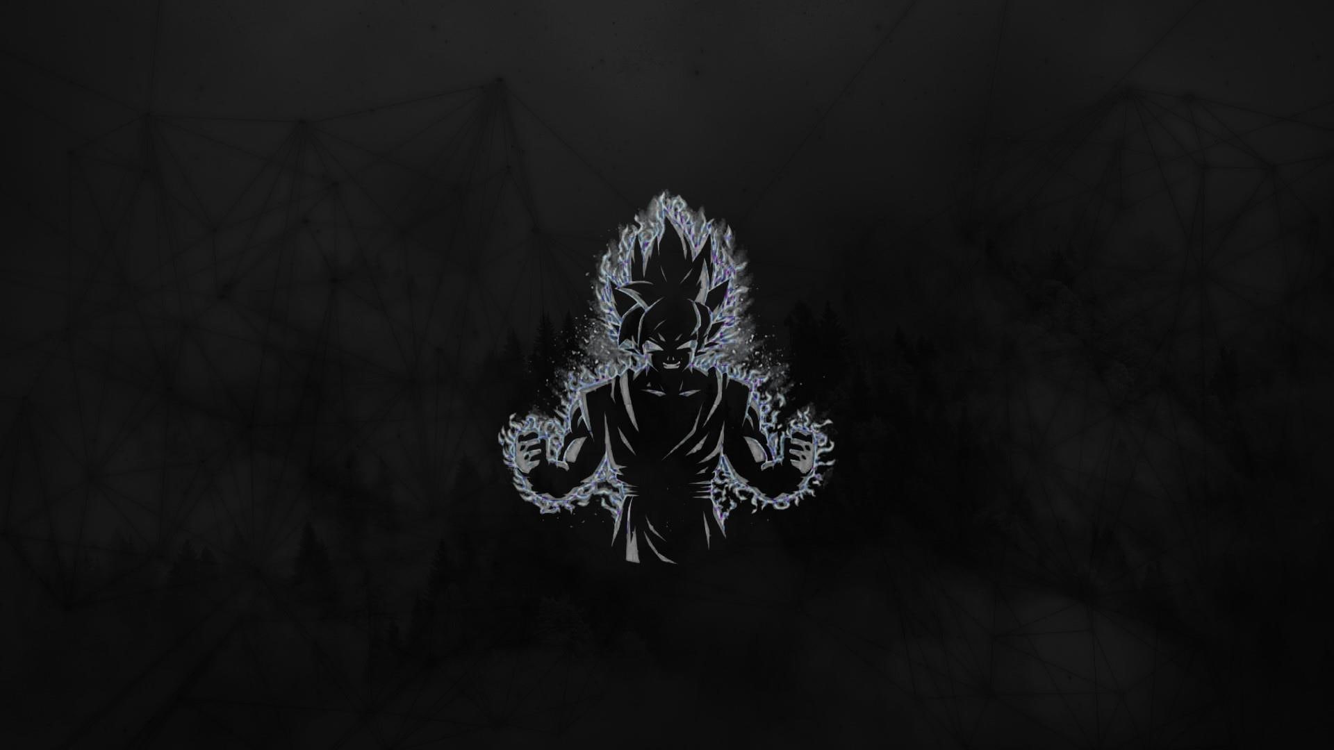 white, goku, black, 1080P, supersaiyan, power, dragonball, anime, HD Wallpaper